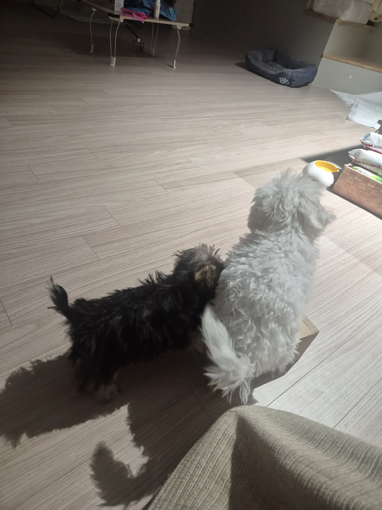 우리딸 소중하다4