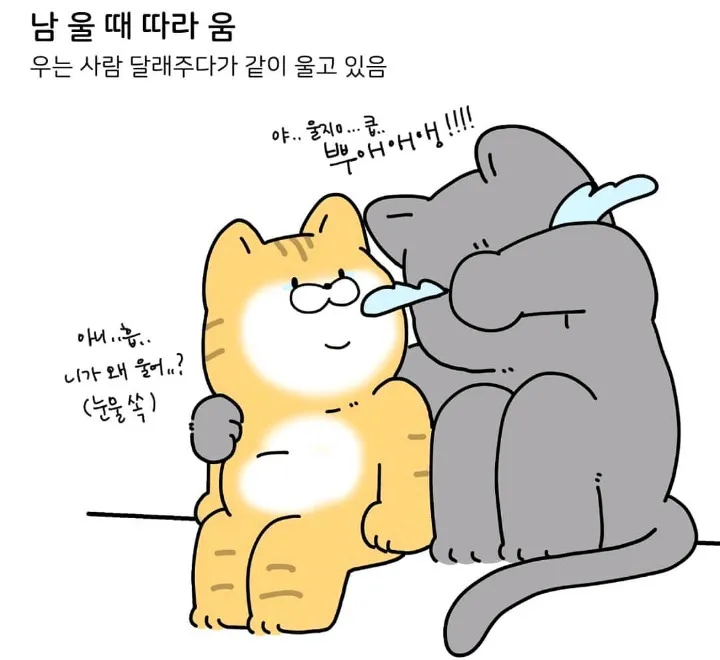 눈물 많은 울보 특징2