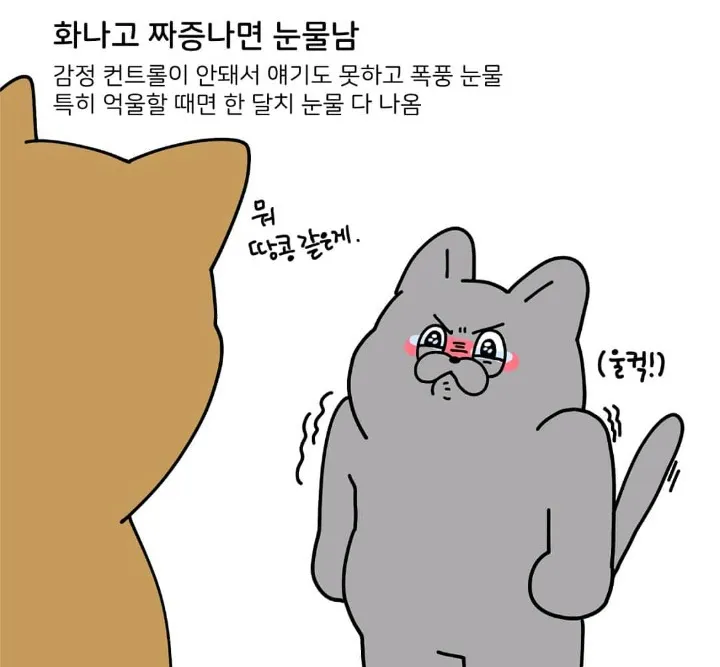 눈물 많은 울보 특징5