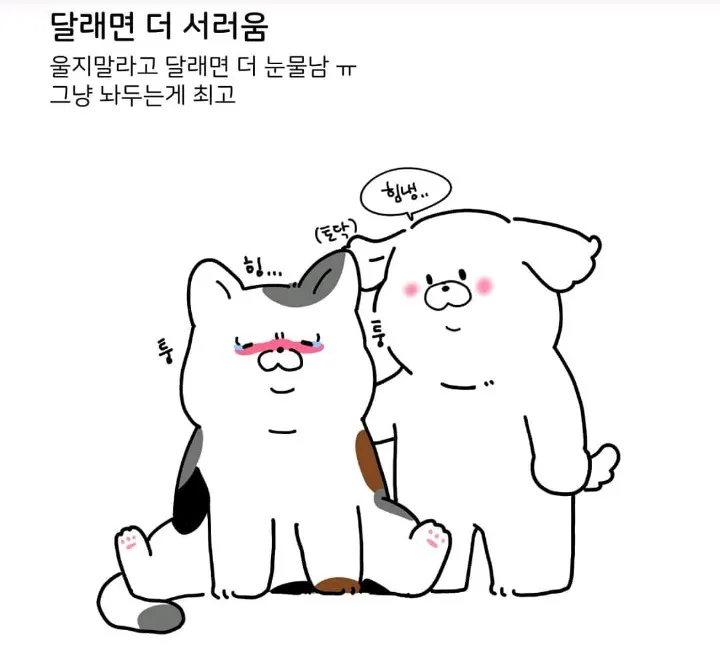 눈물 많은 울보 특징7