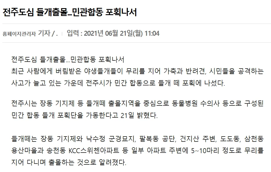 전주에 출몰하는 들개들..