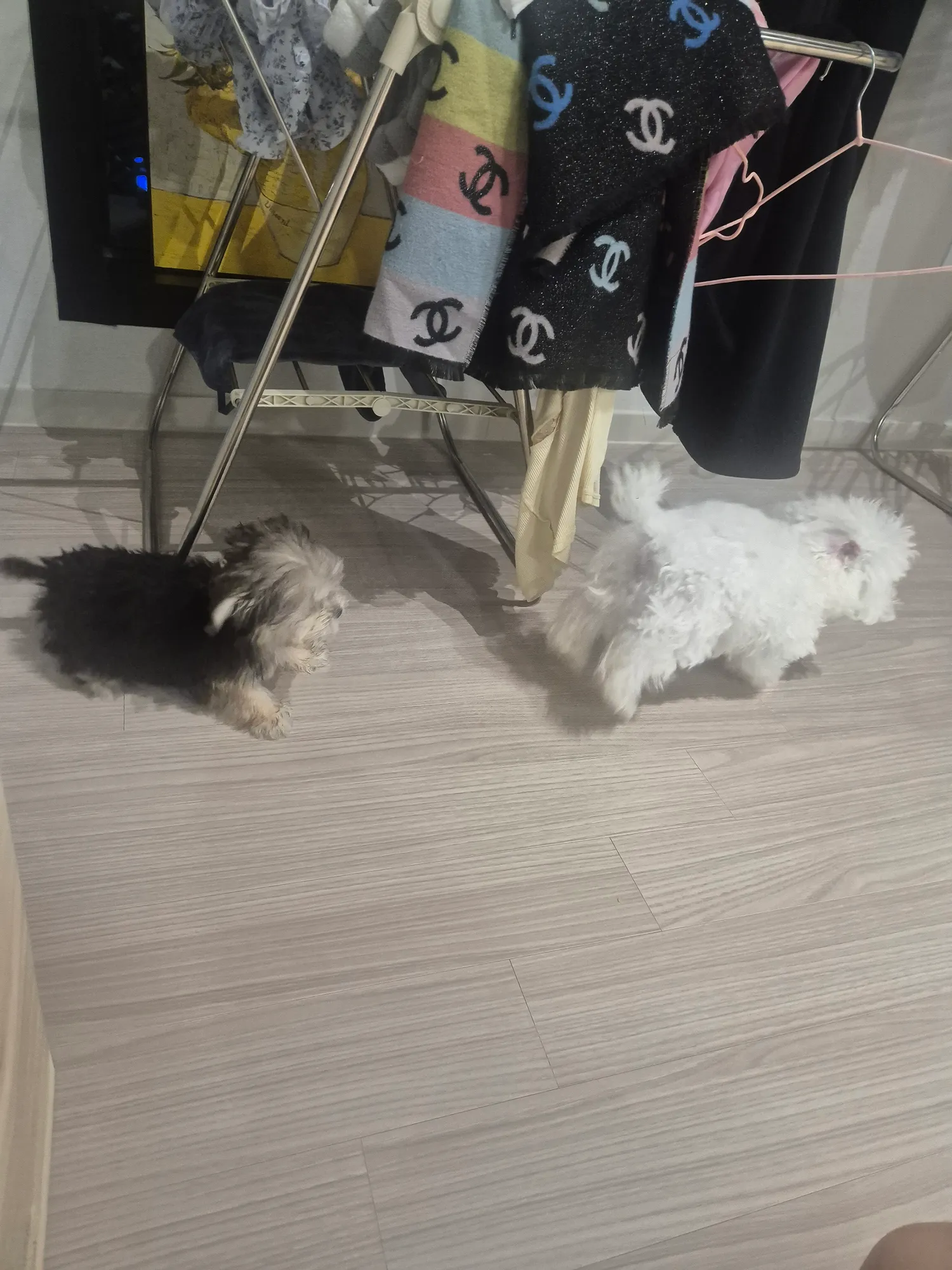 아침밥먹고 뛰어다니네