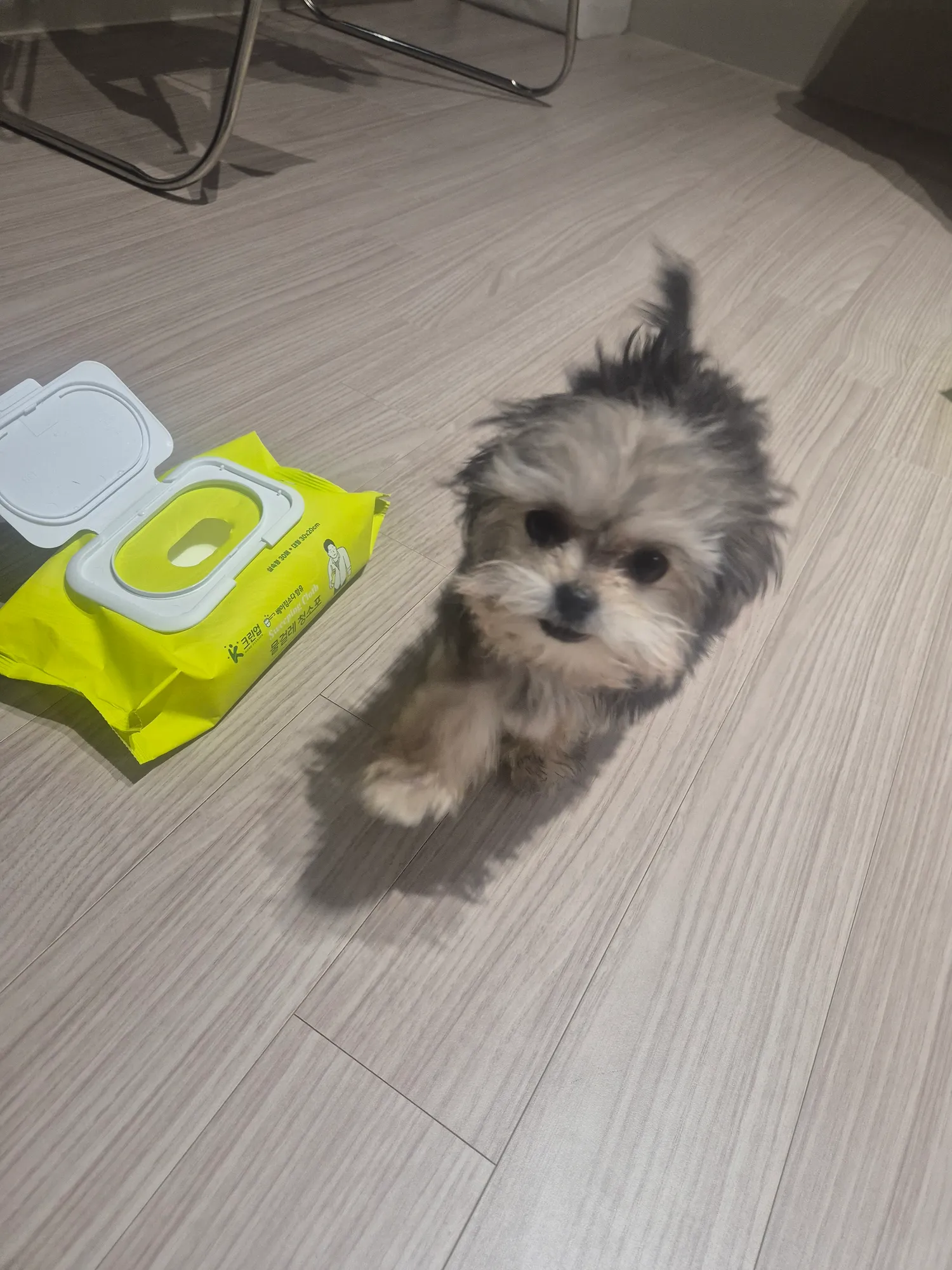 아침밥먹고 뛰어다니네3