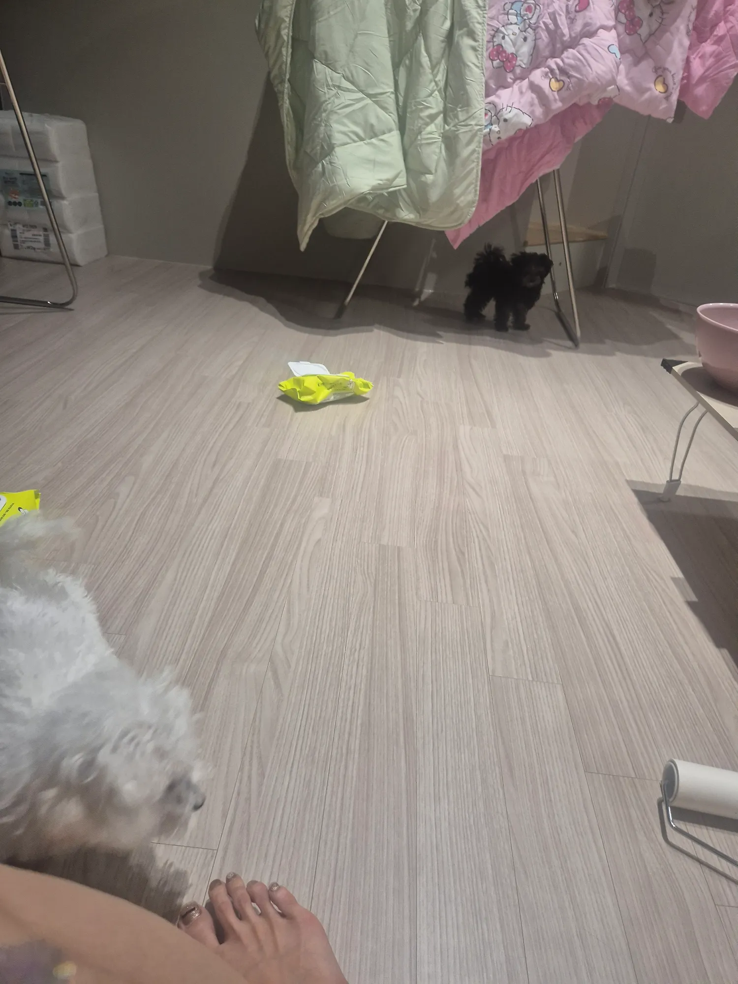 아침밥먹고 뛰어다니네 댓글