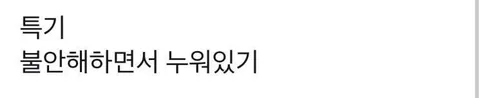 잇프피 특징
