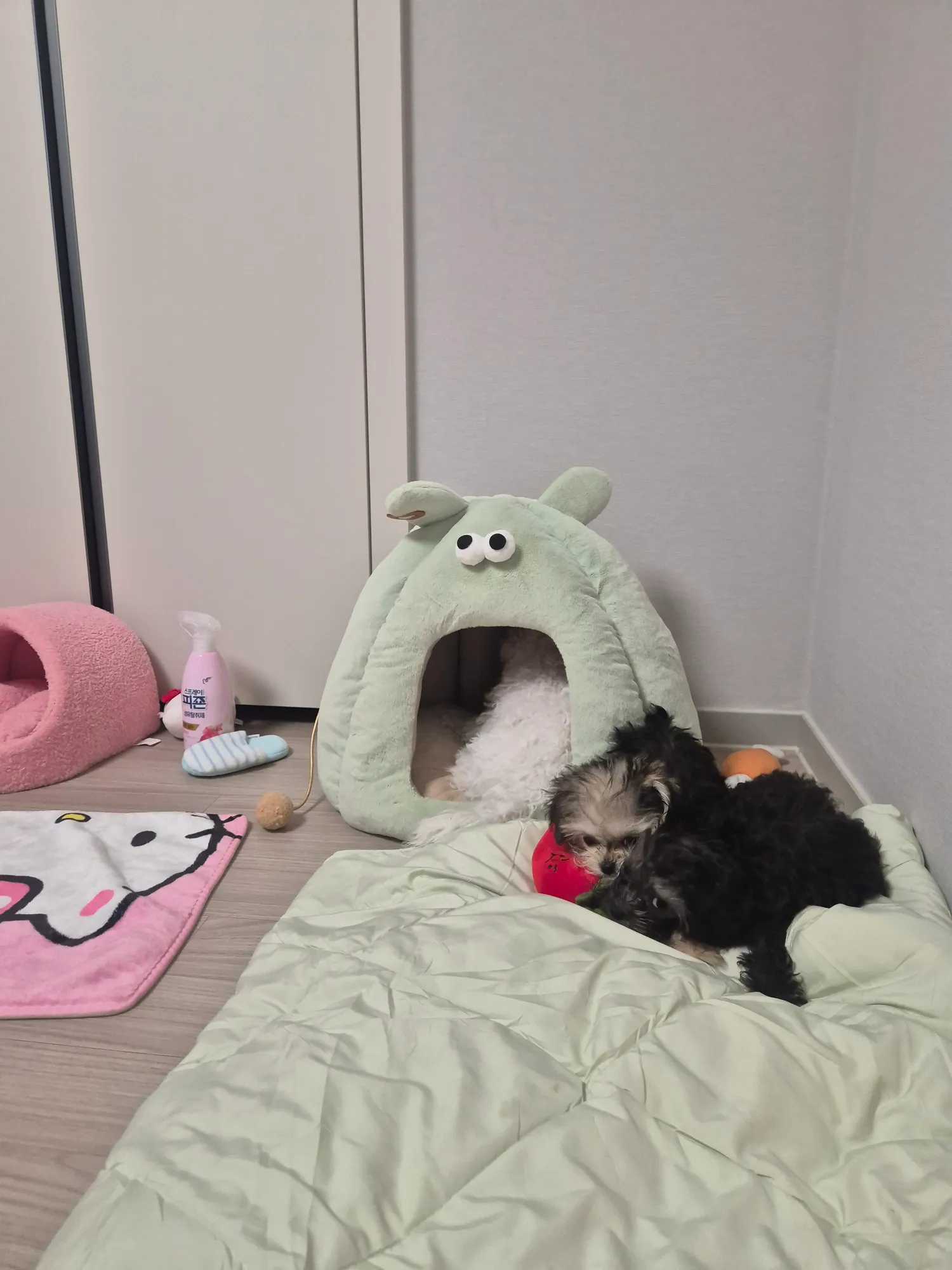 고추인형으로싸우고 껌으로싸우고