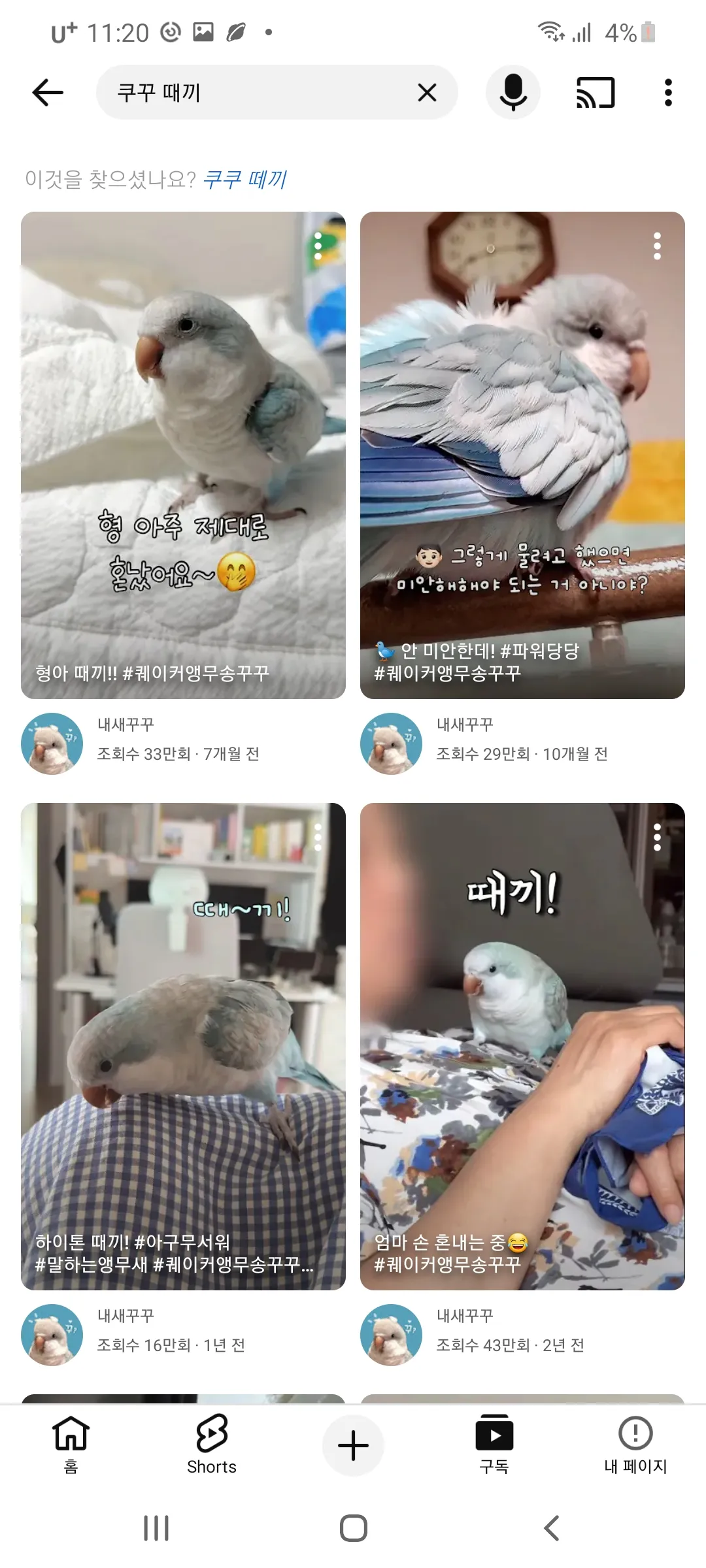 무새 곱창시켰어 ㅜㅡㄴ 댓글 3