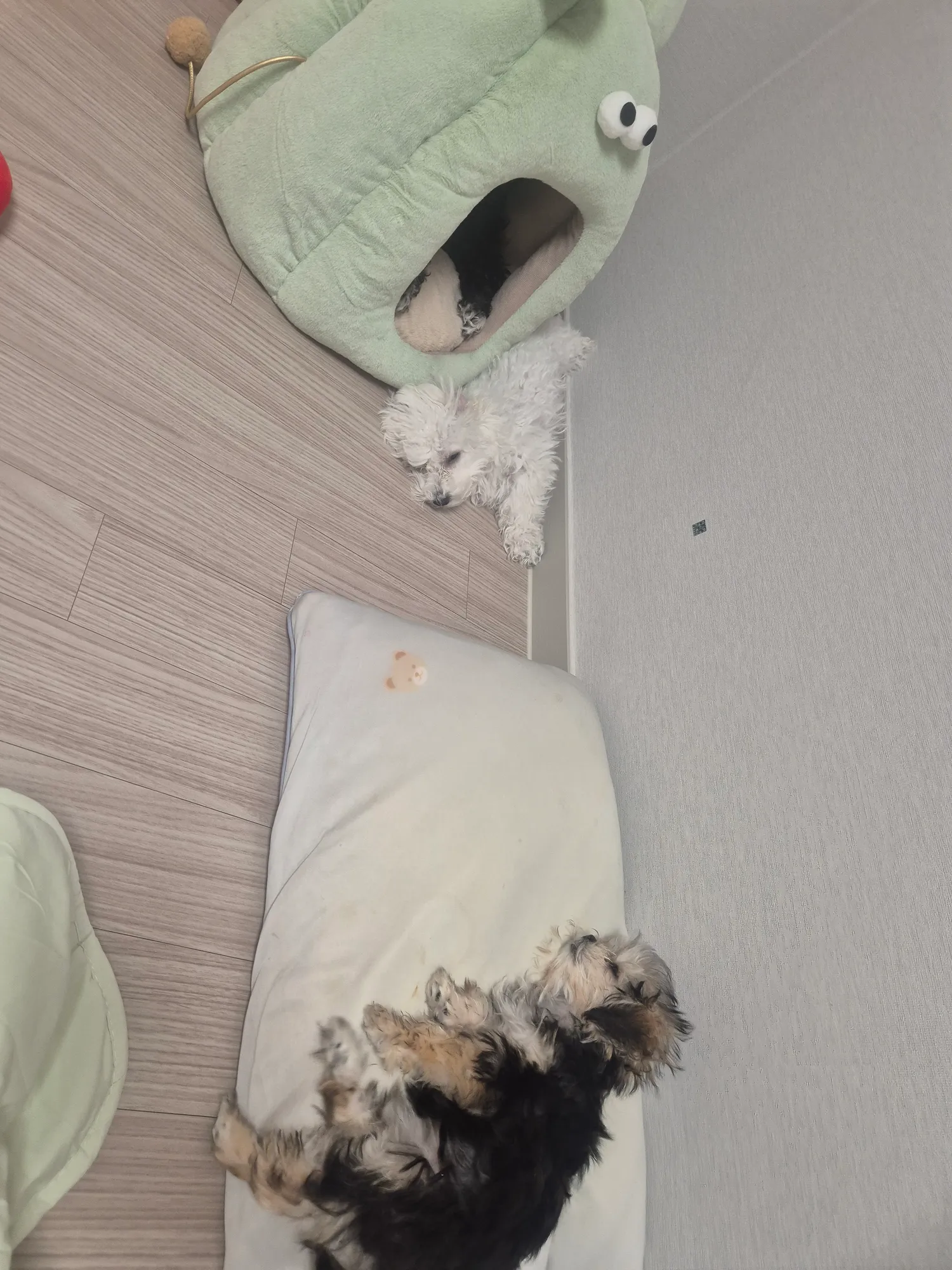 오늘부터하루에50씩저금 언니들돈마이벌쟈2