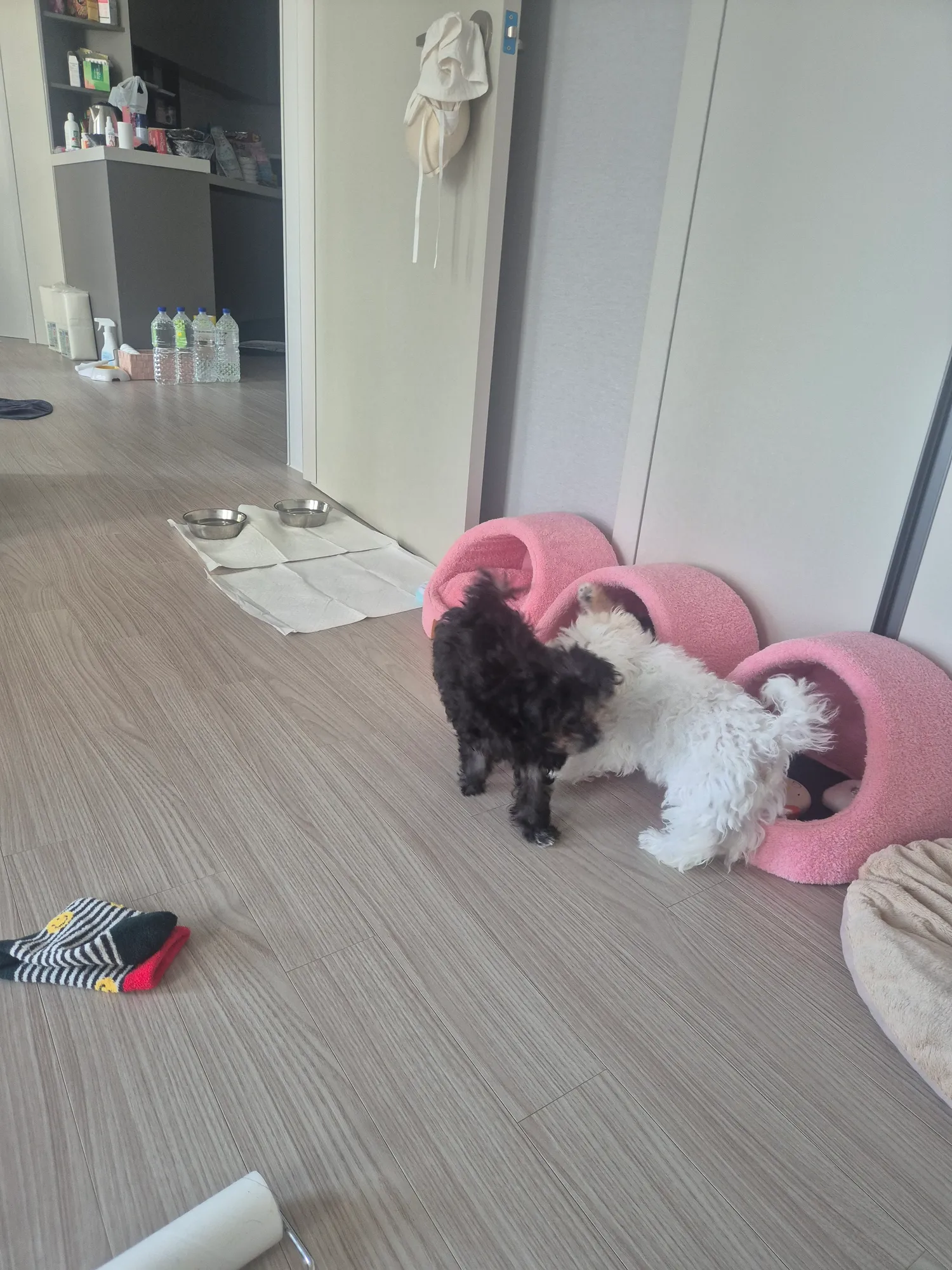 짬뽕안뜯은거그냥냉장고넣어농ㅅ음되냐 댓글