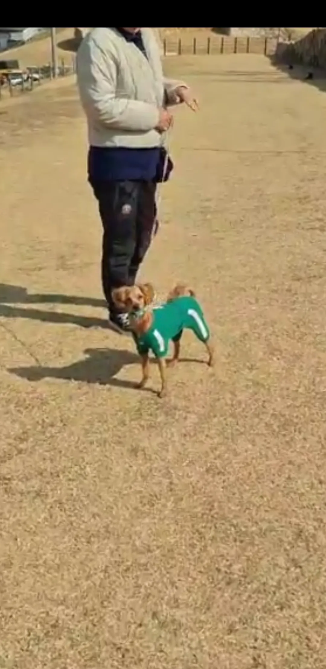 금동이도보고싶다 지금 부모님과산책중