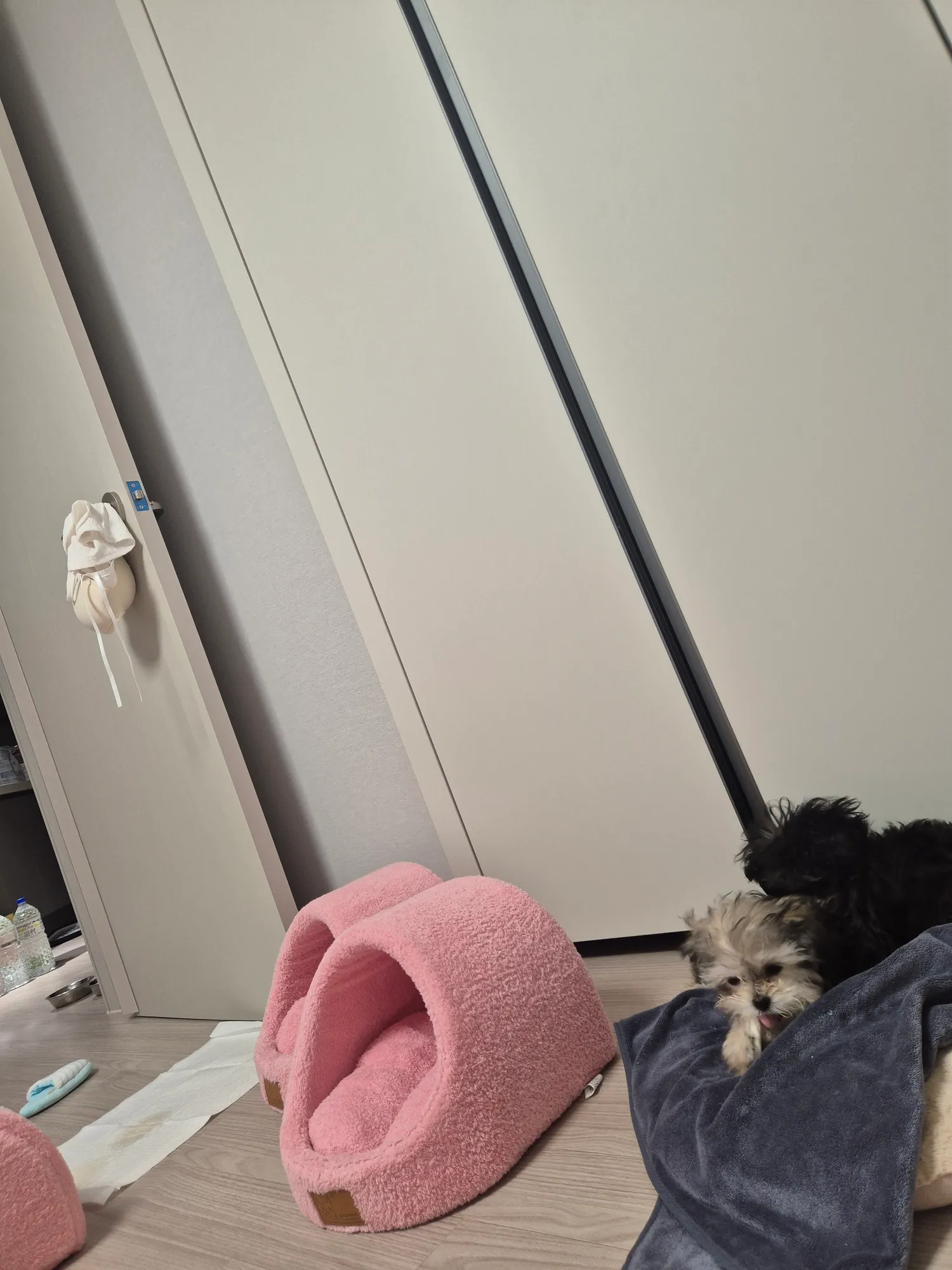 검동이새키 한남짓하네ㅡㅡ