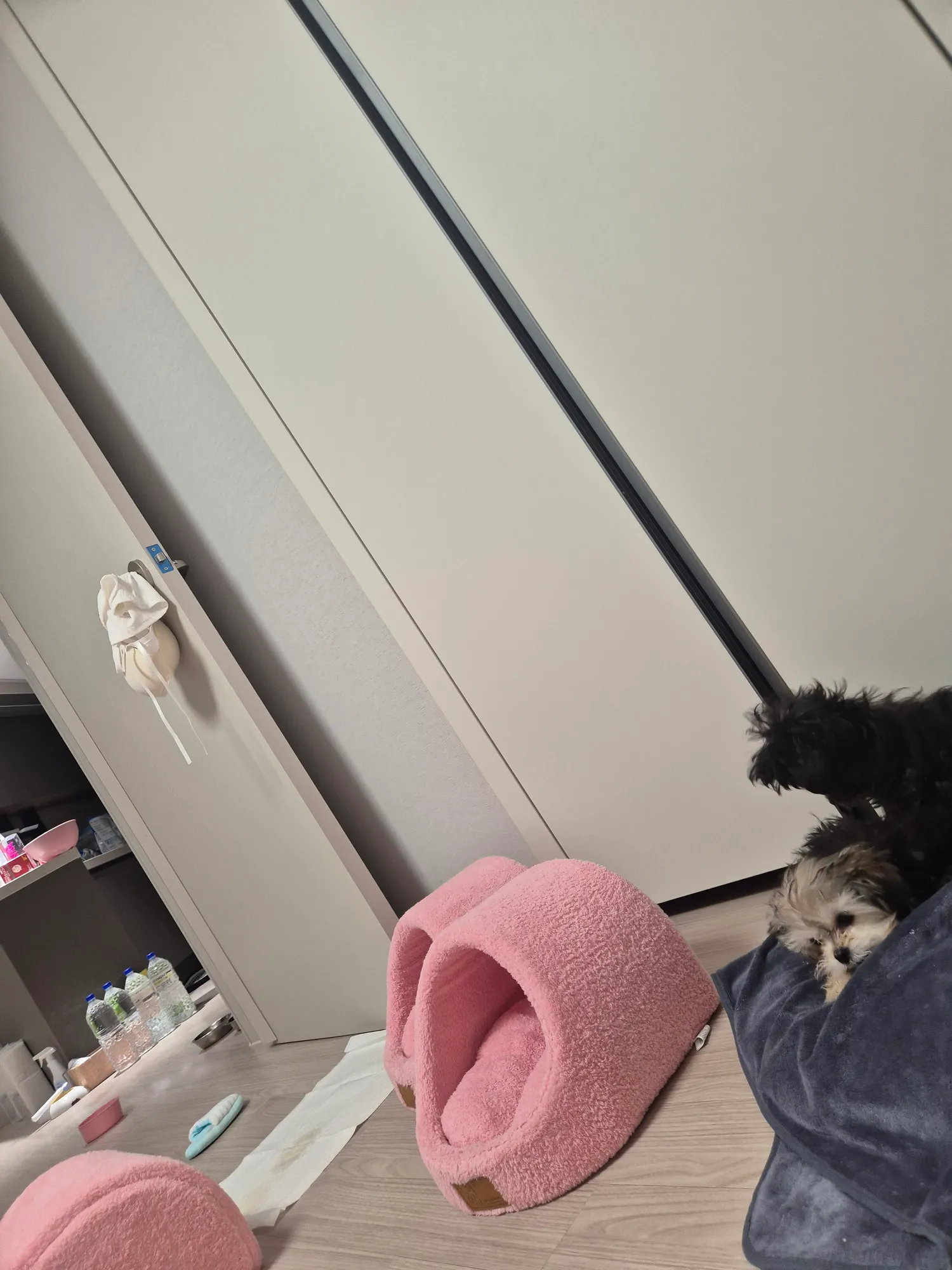 검동이새키 한남짓하네ㅡㅡ2