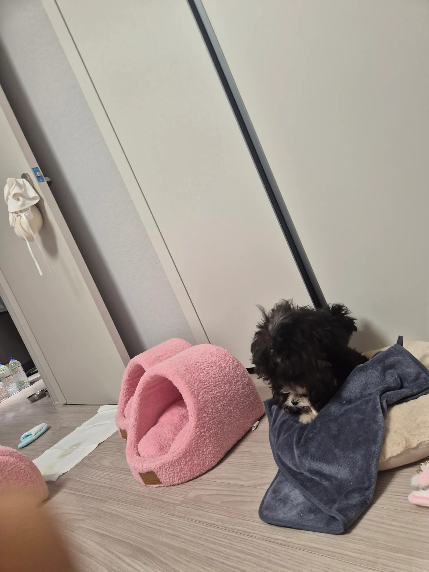 검동이새키 한남짓하네ㅡㅡ3