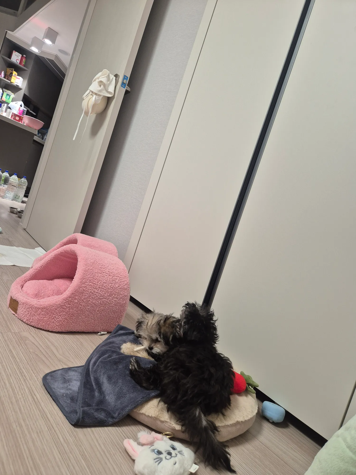검동이새키 한남짓하네ㅡㅡ4