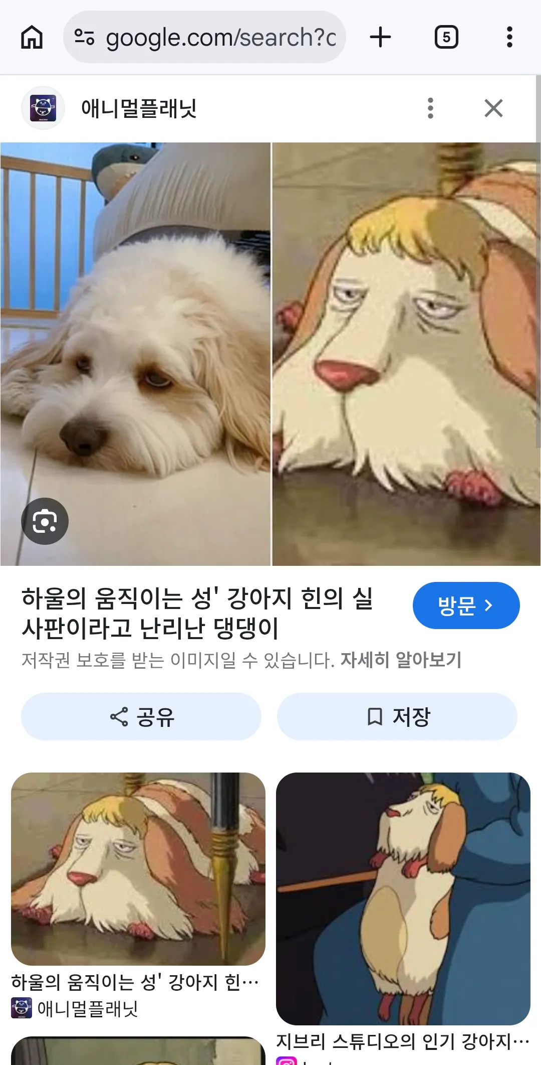 말안들으ㅜㅜ 털말리려니까둘다뛰고안잡히려고 댓글 4