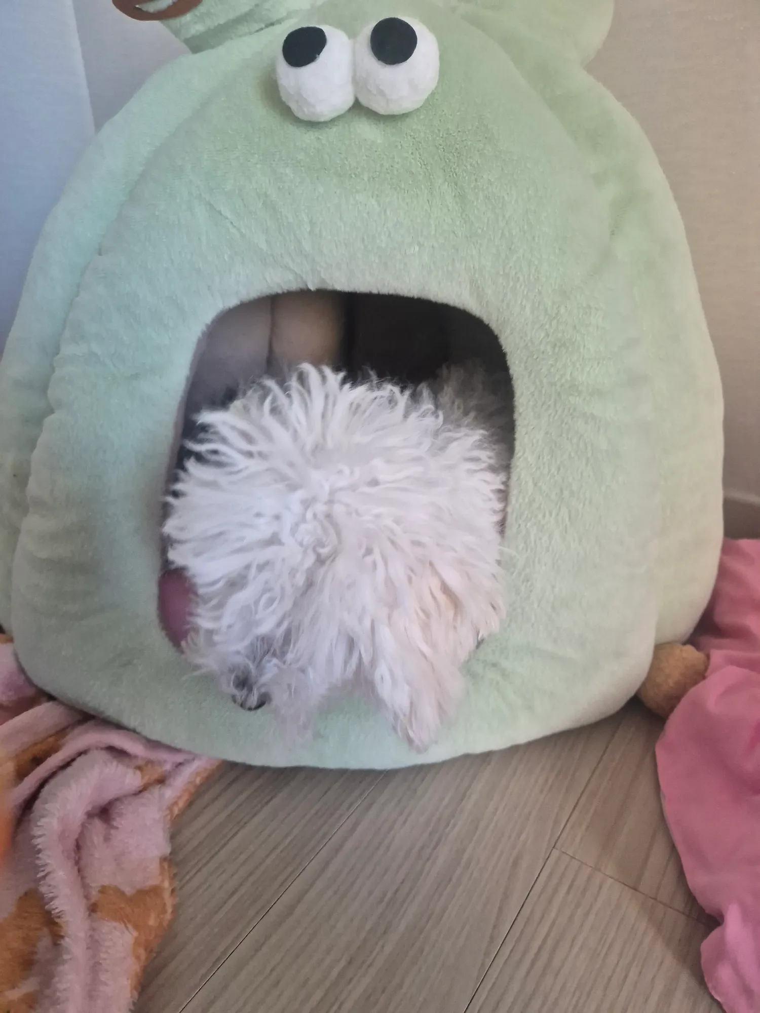 나도 전먹고싶어 애기들장난감사옴2