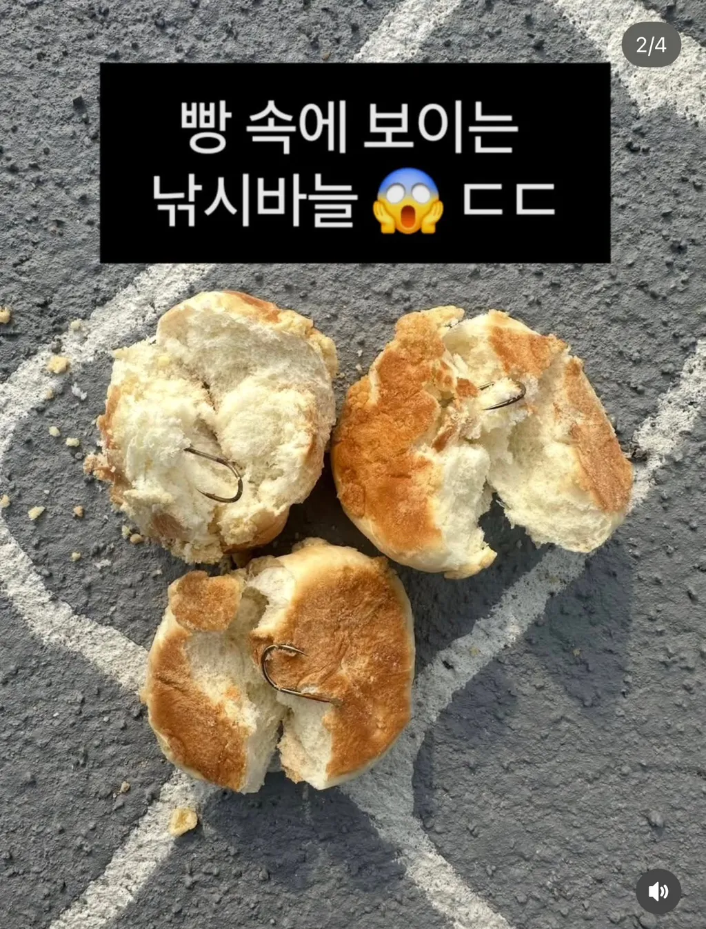 반려견 놀이터 낚시바늘 박힌 빵4