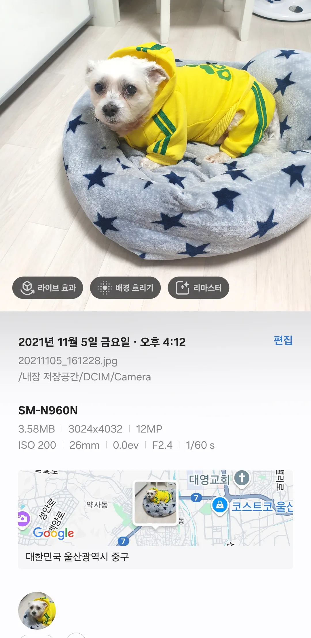 보고싶은 동동이