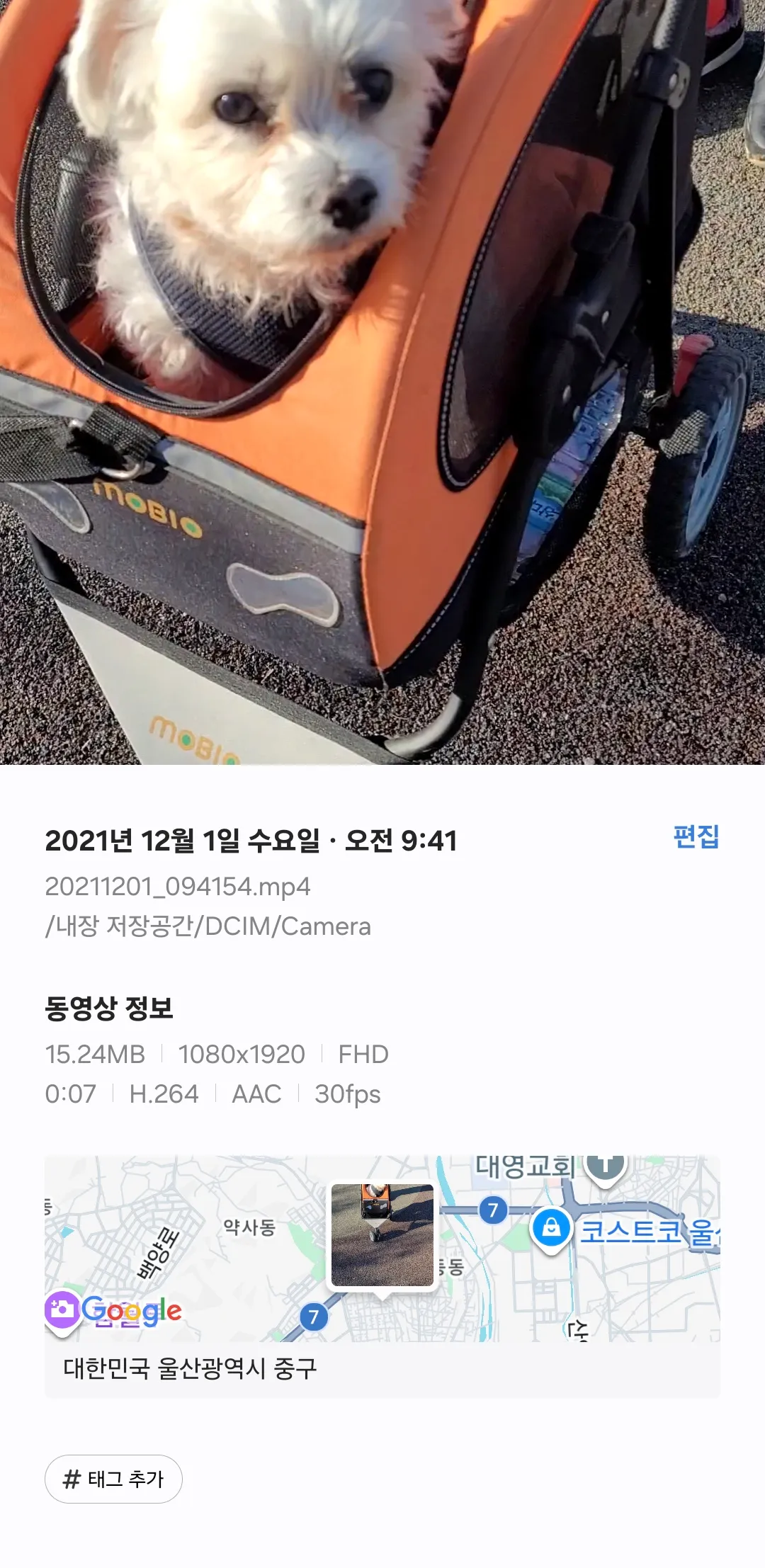 보고싶은 동동이2