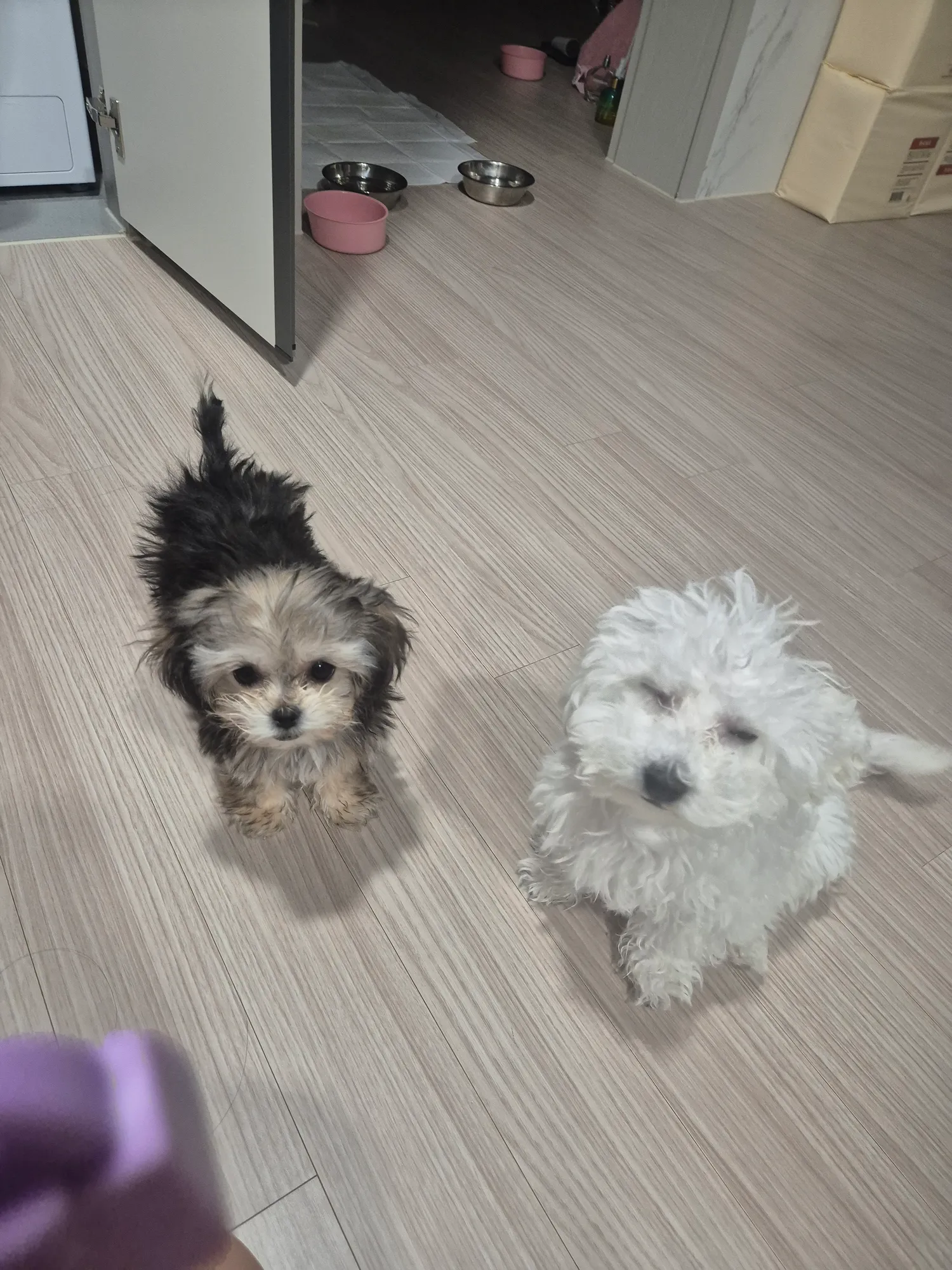 아 나왜이렇게아프냐몸이 샤워다하고출근 댓글