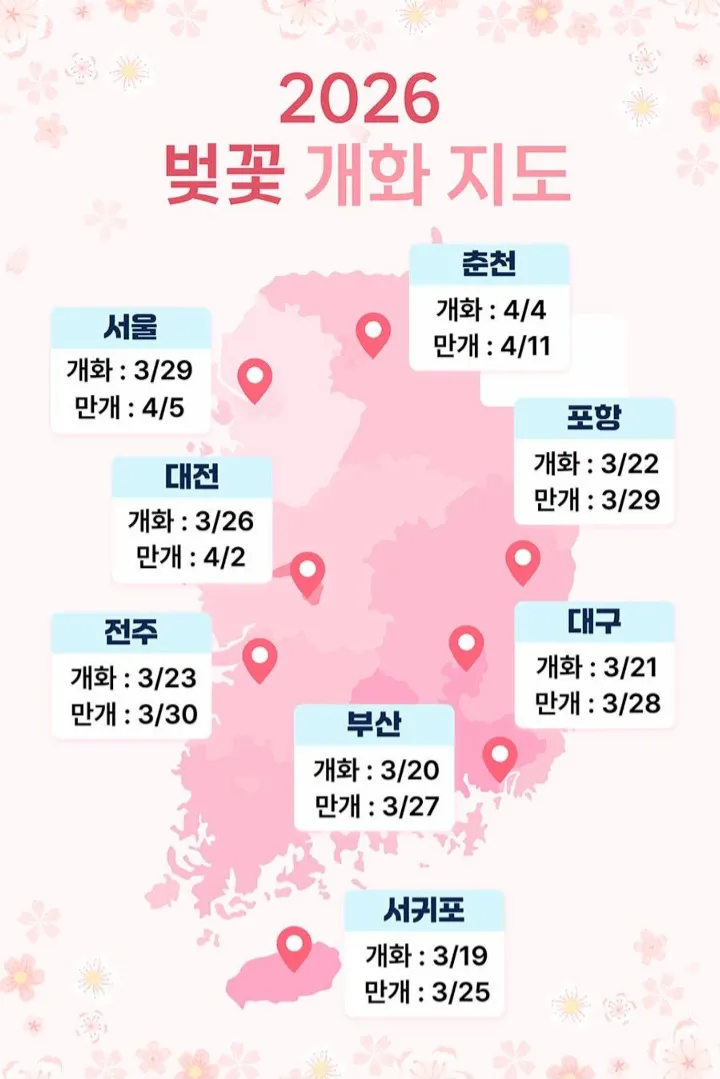 26년도 벚꽃 개화 시기