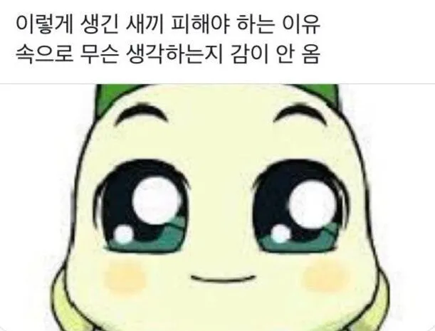 언니들 이렇게 생긴 새끼 어때요?