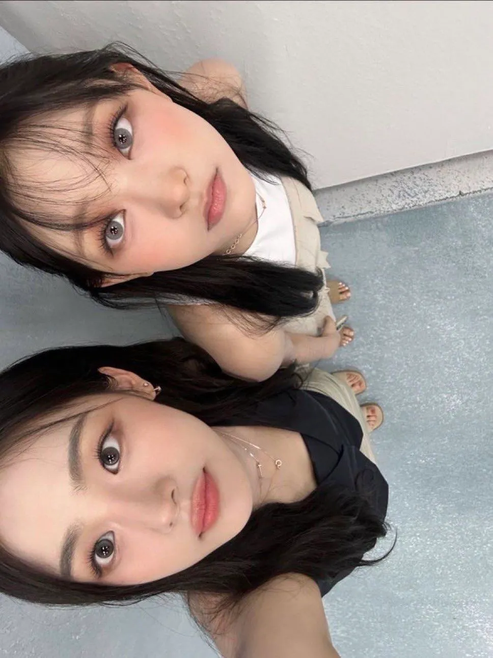 댕냥