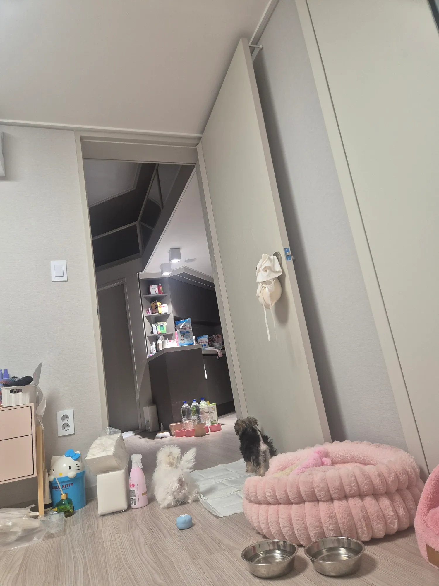 왜아무도없는 복층허공보고 계속짖는데