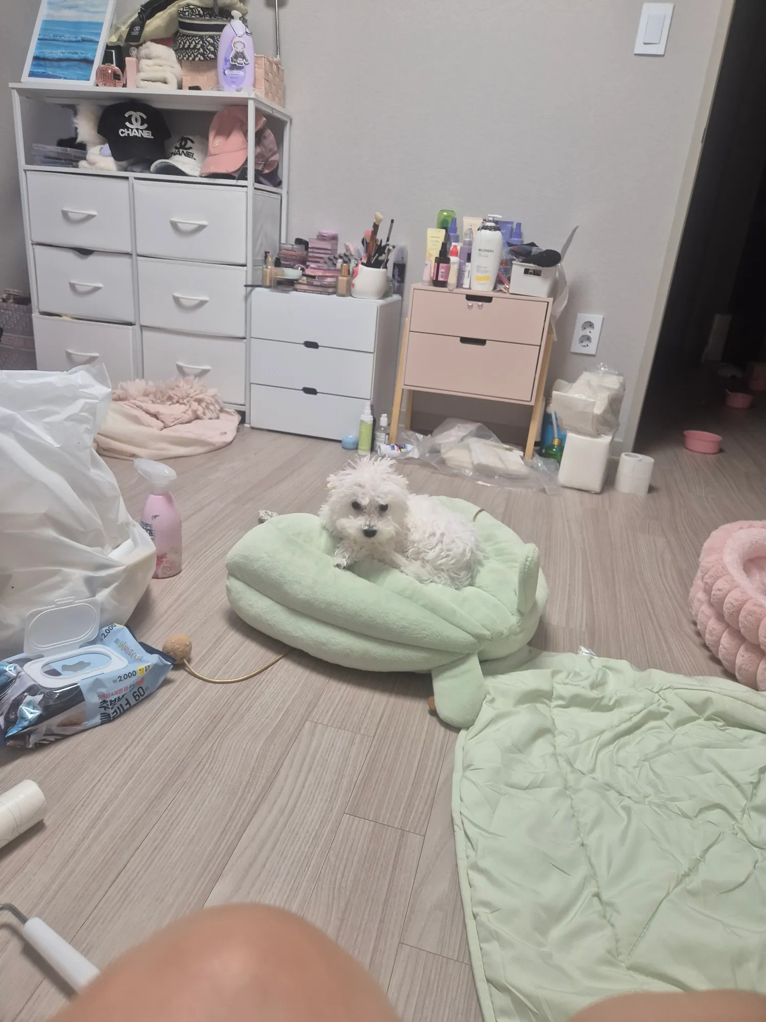 5개월다되가는데 ㅈㄴ큼 이녀석2