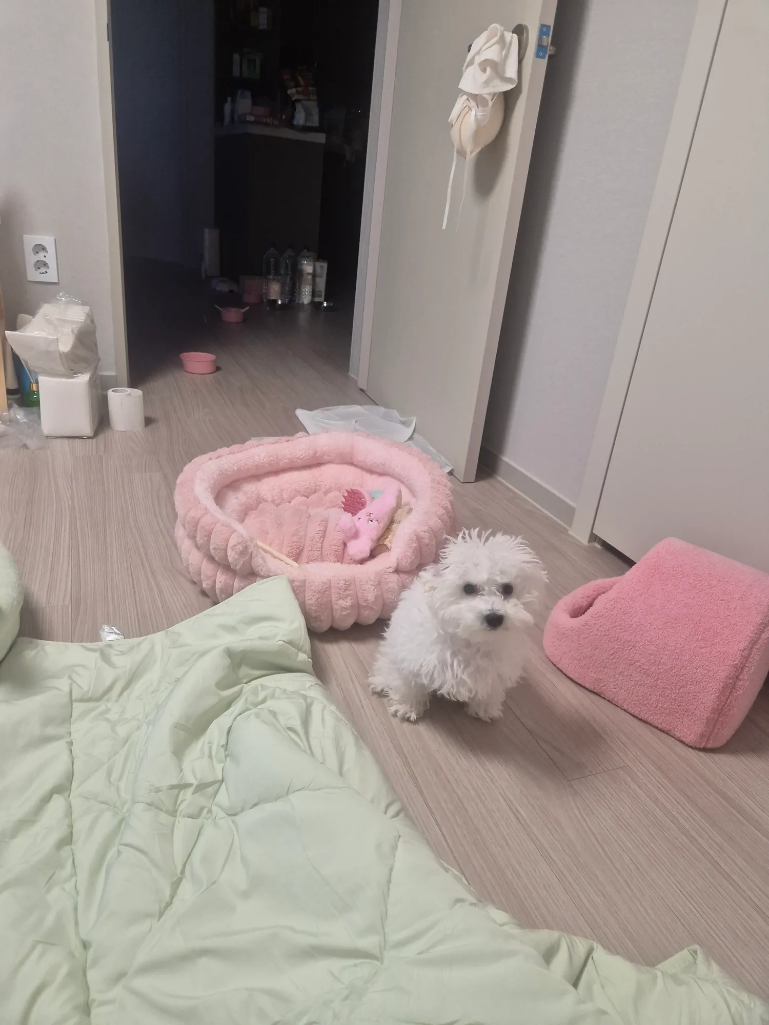5개월다되가는데 ㅈㄴ큼 이녀석3