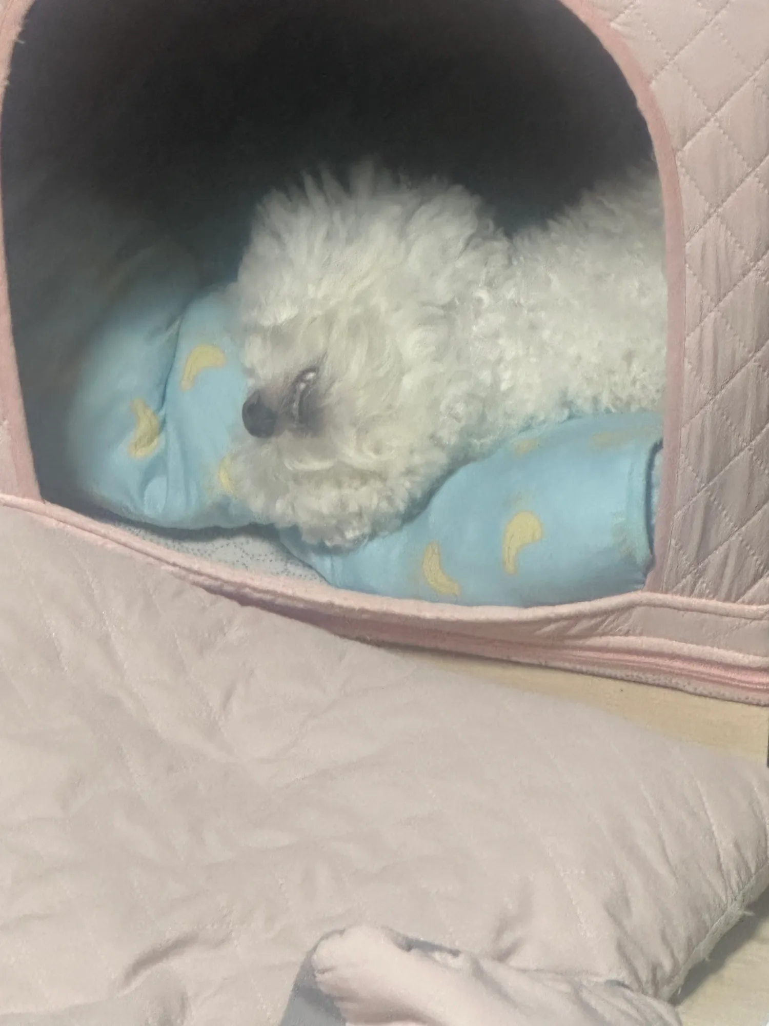 주안 에이플러스 하퍼 셔츠 최고대우