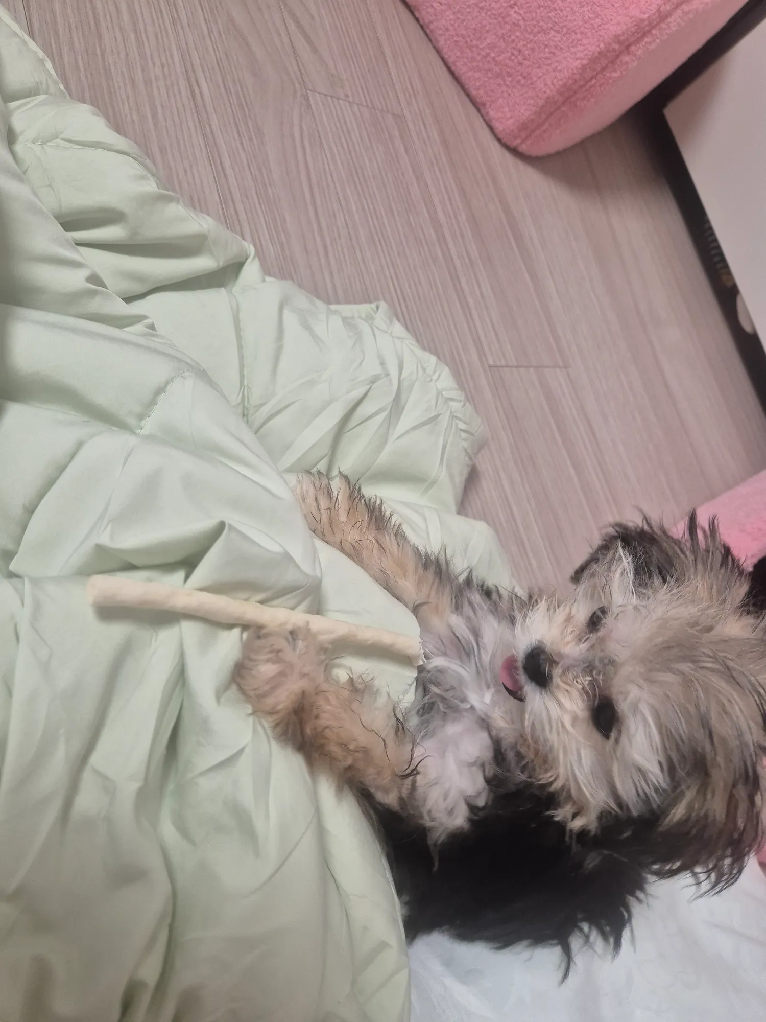 냠냠쩝쩝2