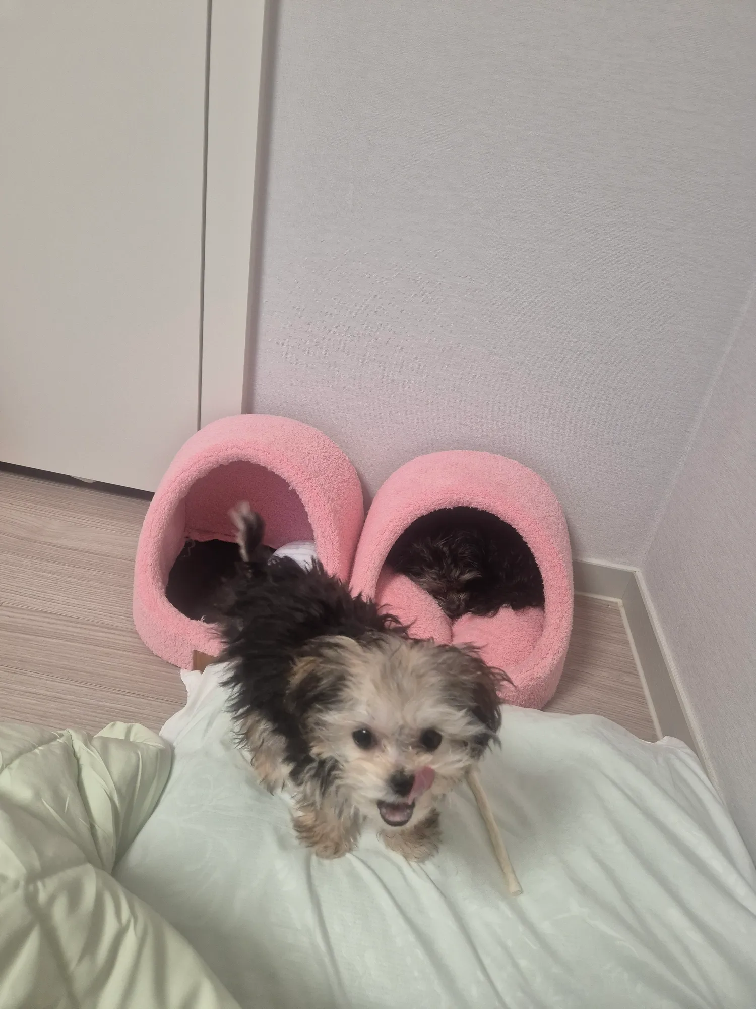 냠냠쩝쩝4