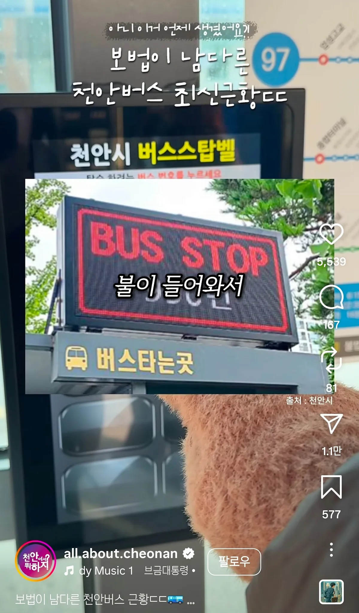 천안버스 근황2