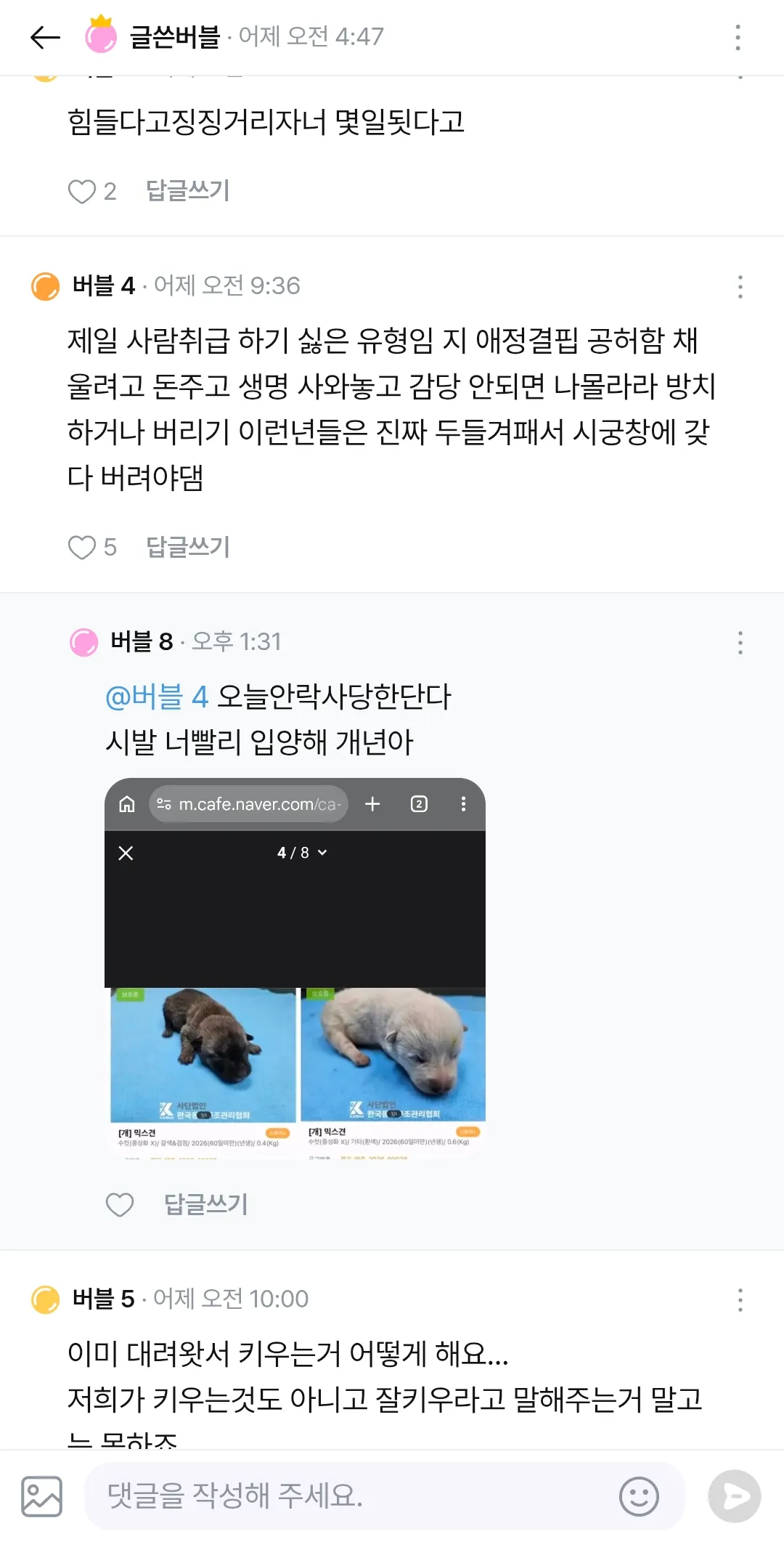개 펫샵에서 데려왔다고 욕하시는분들4