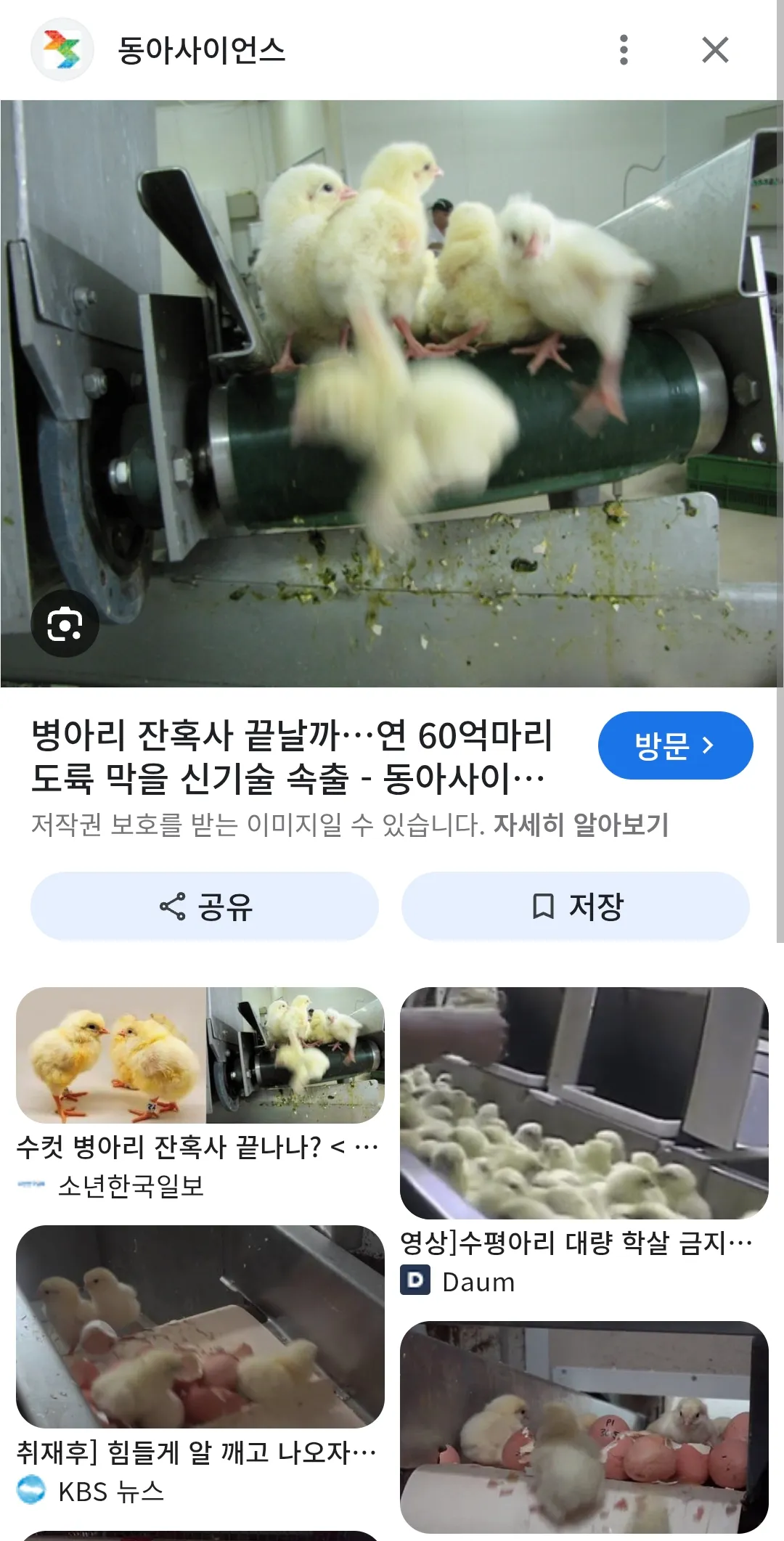 개 펫샵에서 데려왔다고 욕하시는분들 댓글 2