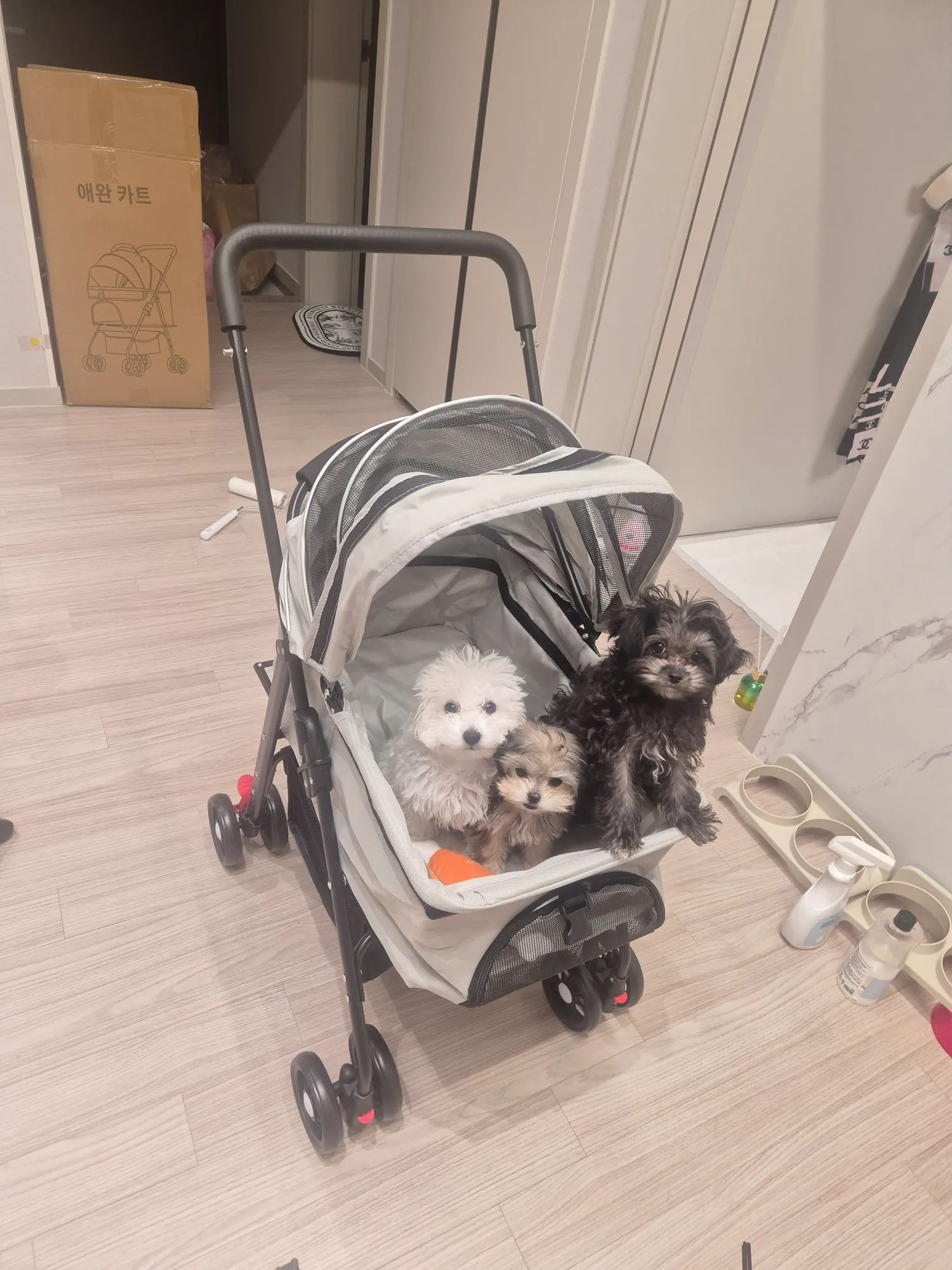 밦ㅇ묵자 댓글