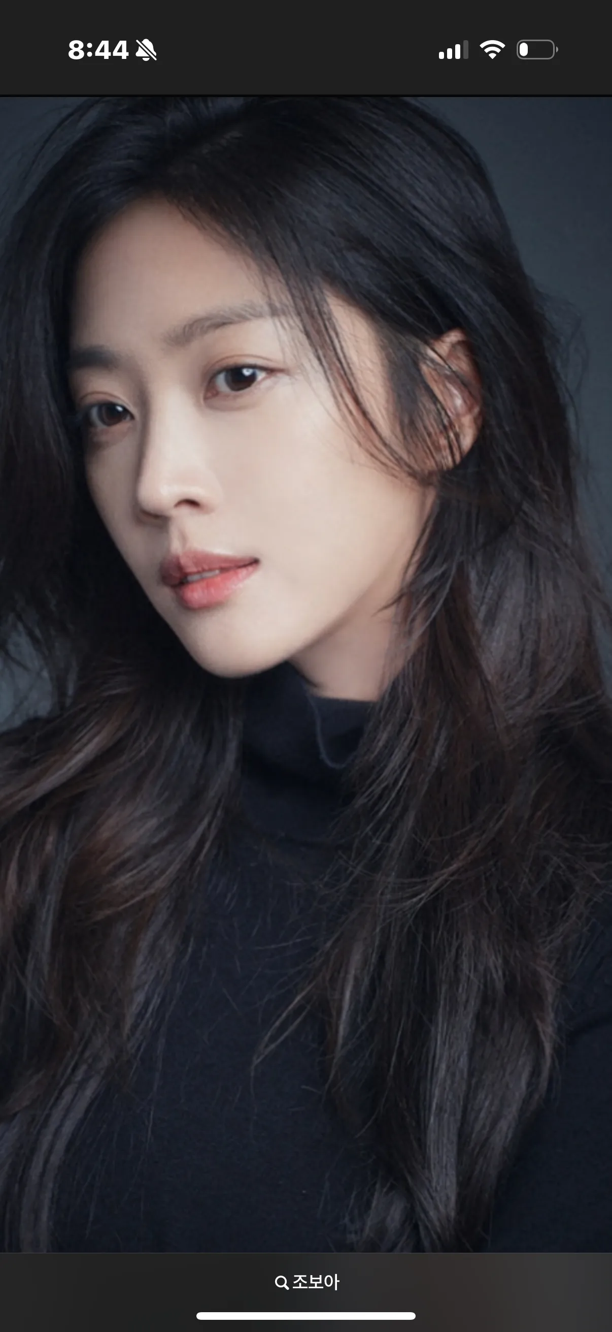 조보아