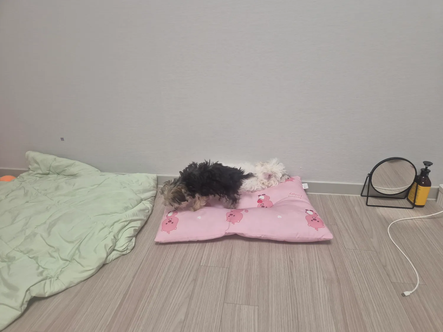 집도잇으면서 남의베개까지 쓰는것들...