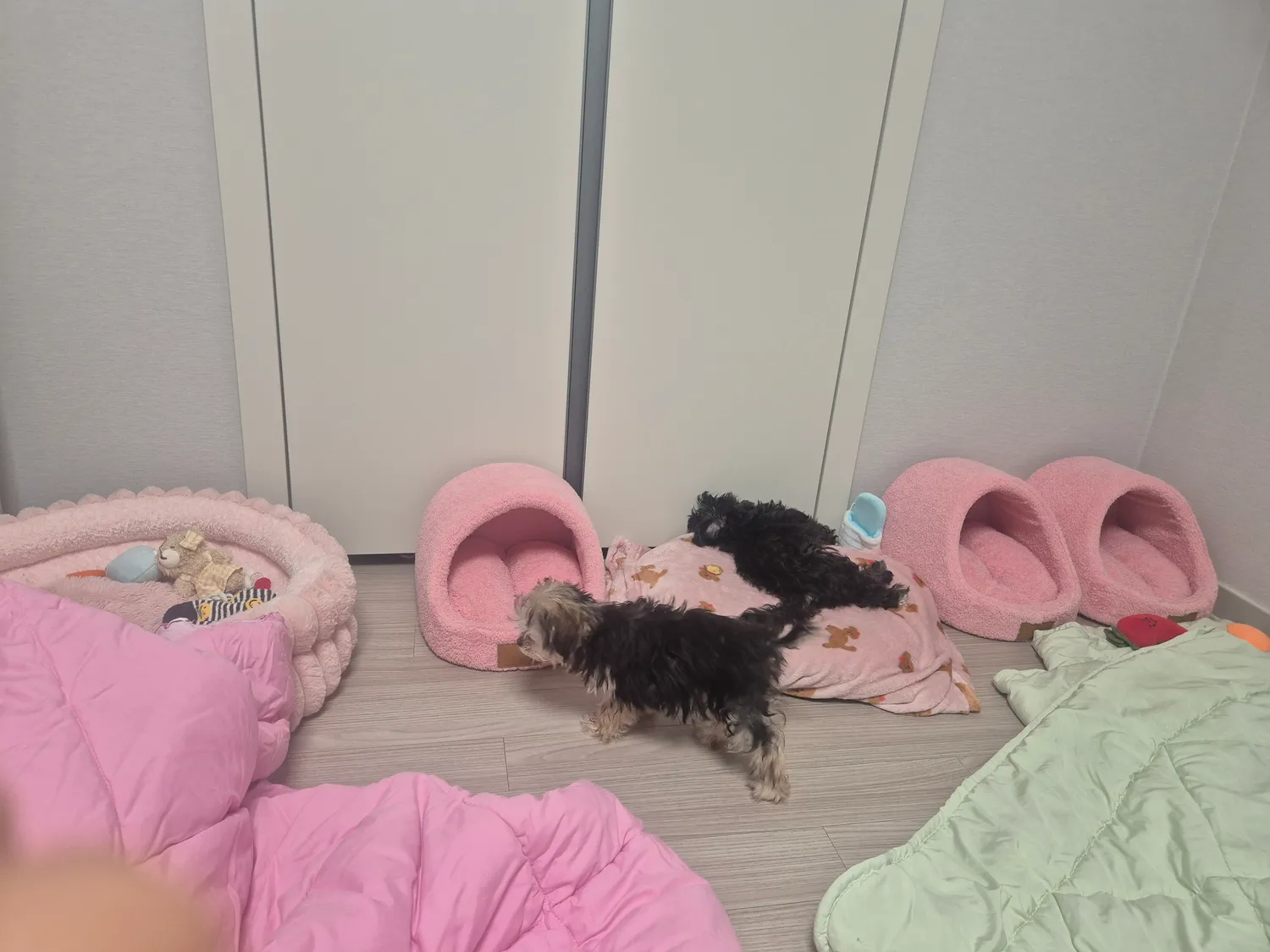 집도잇으면서 남의베개까지 쓰는것들...2