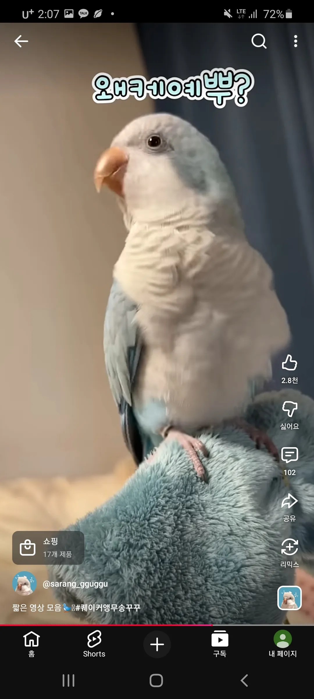 무새왔는데에4