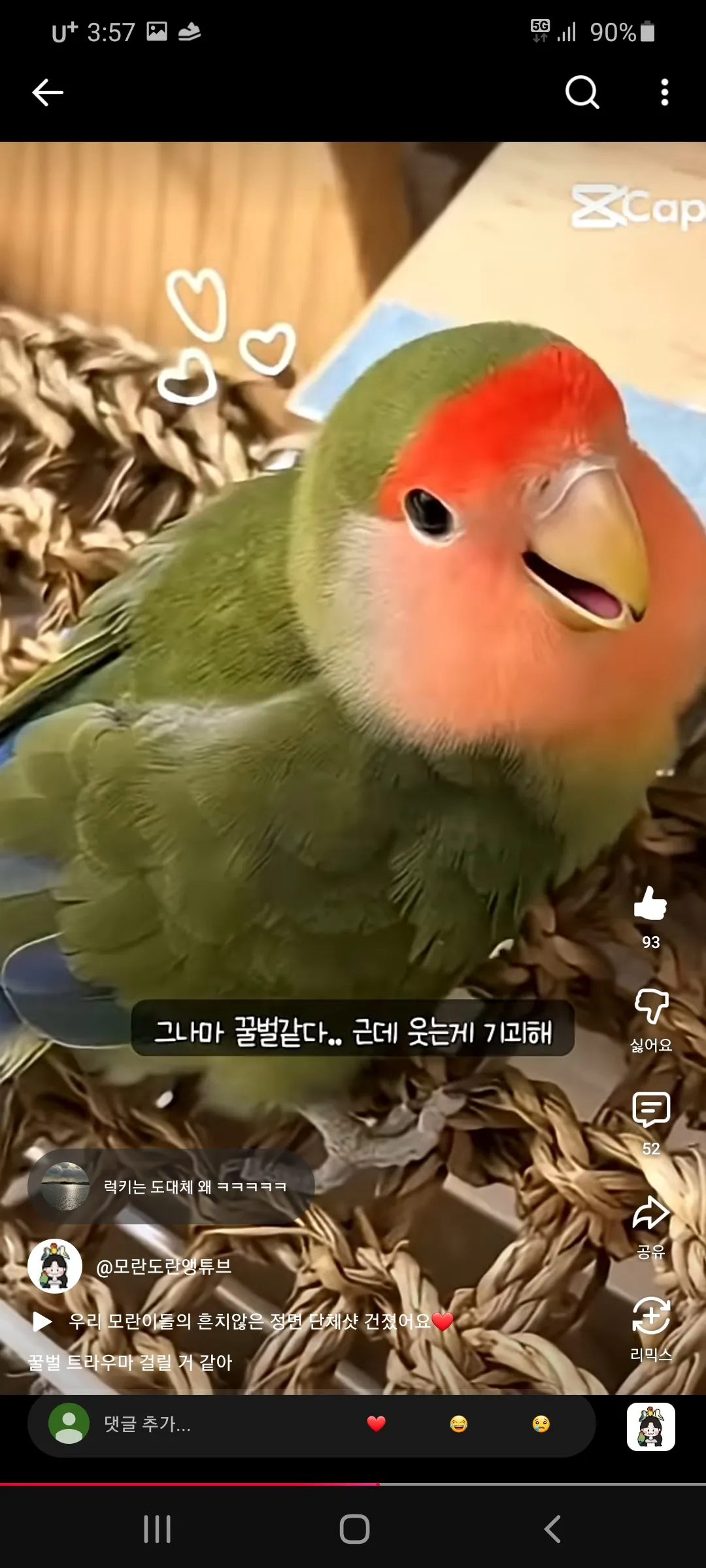 무새왔는데에 댓글 3