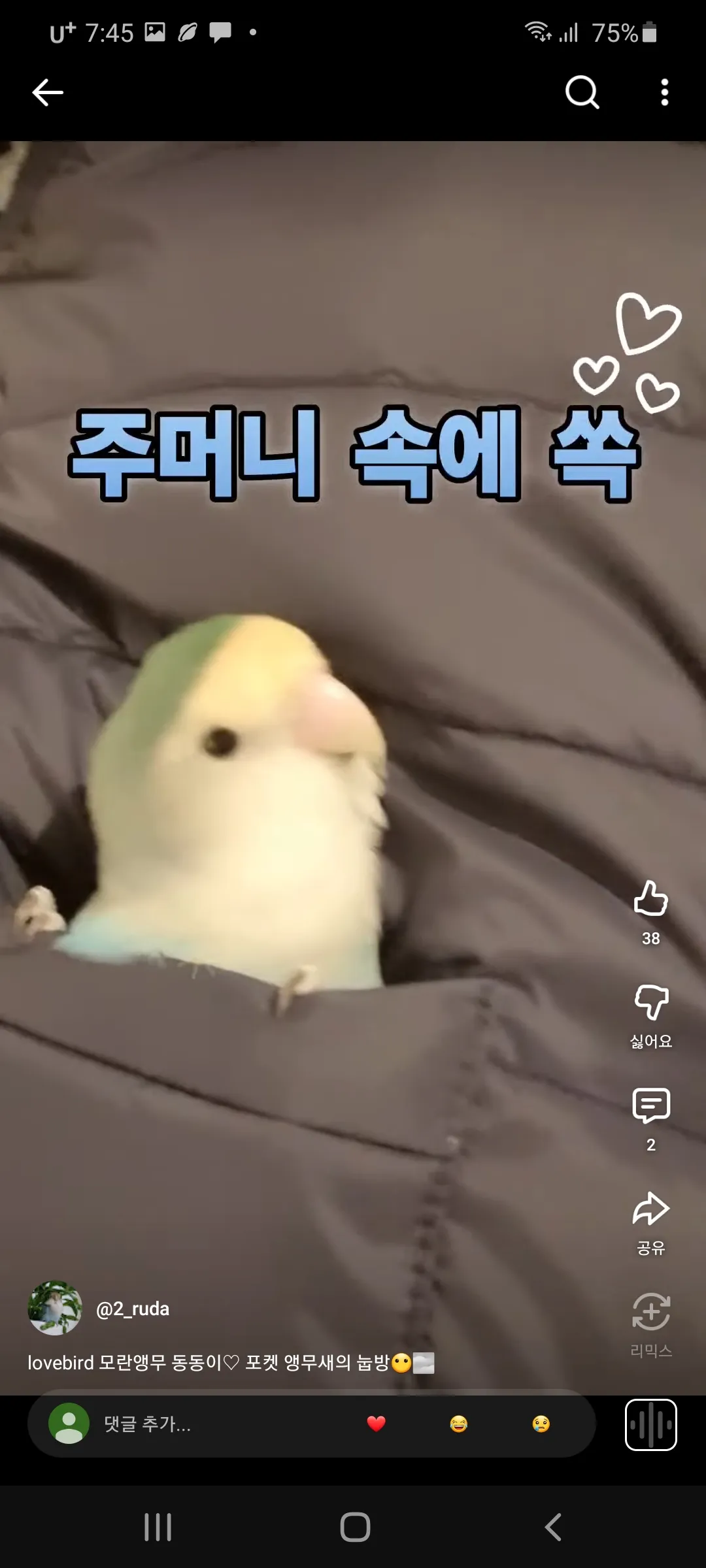 무새왔는데에 댓글 4