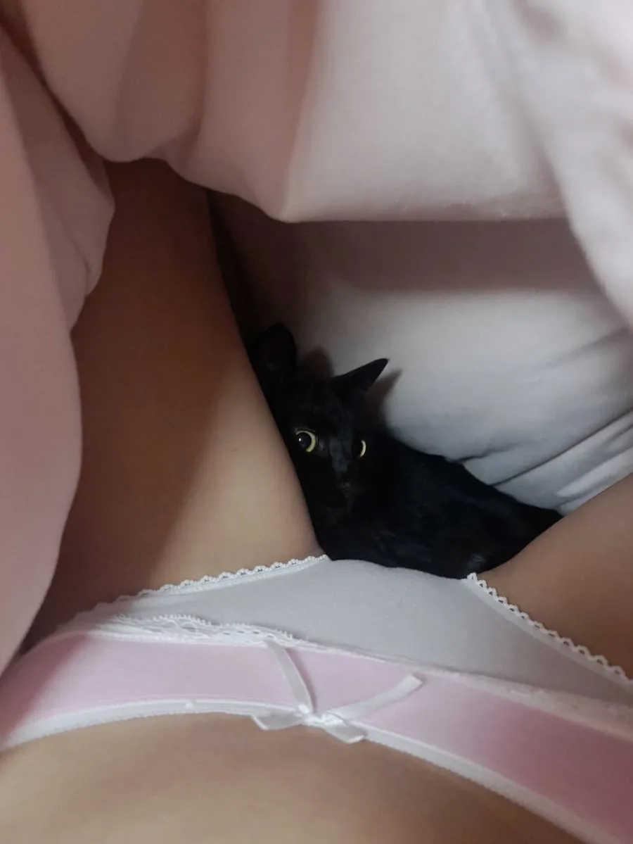 언니들 나 이런짤 좋아함