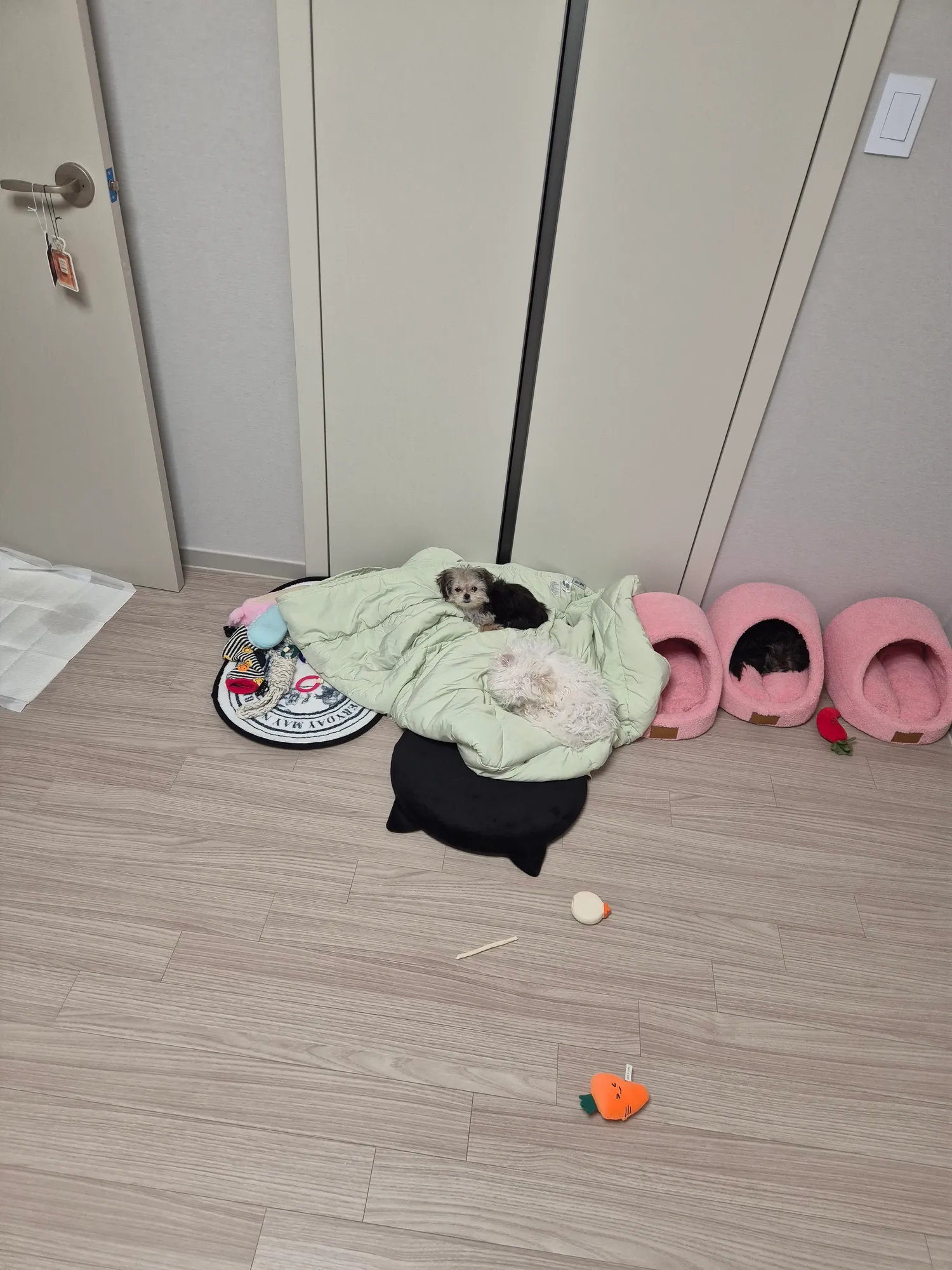 대청소중