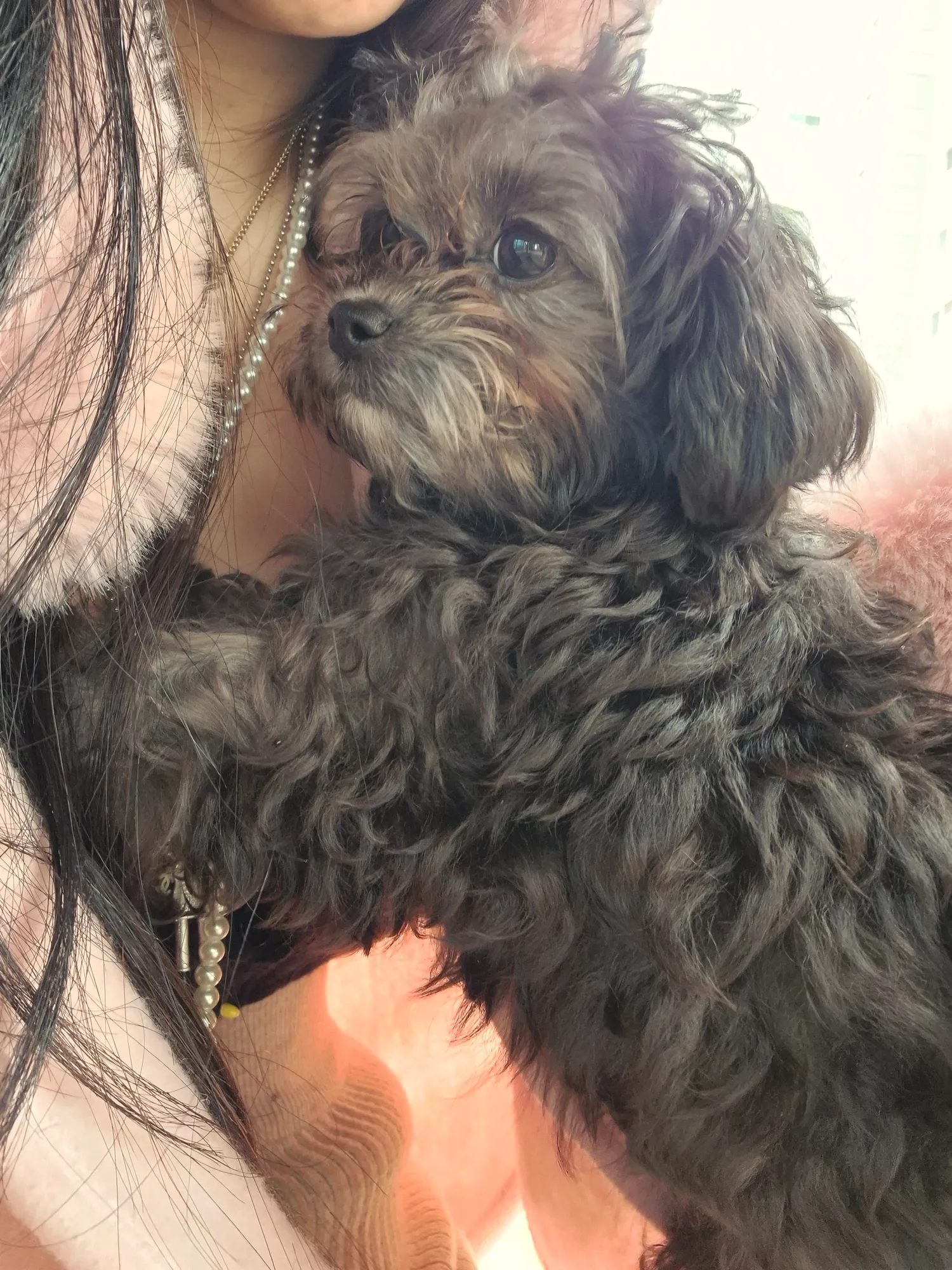 귀여워울액희