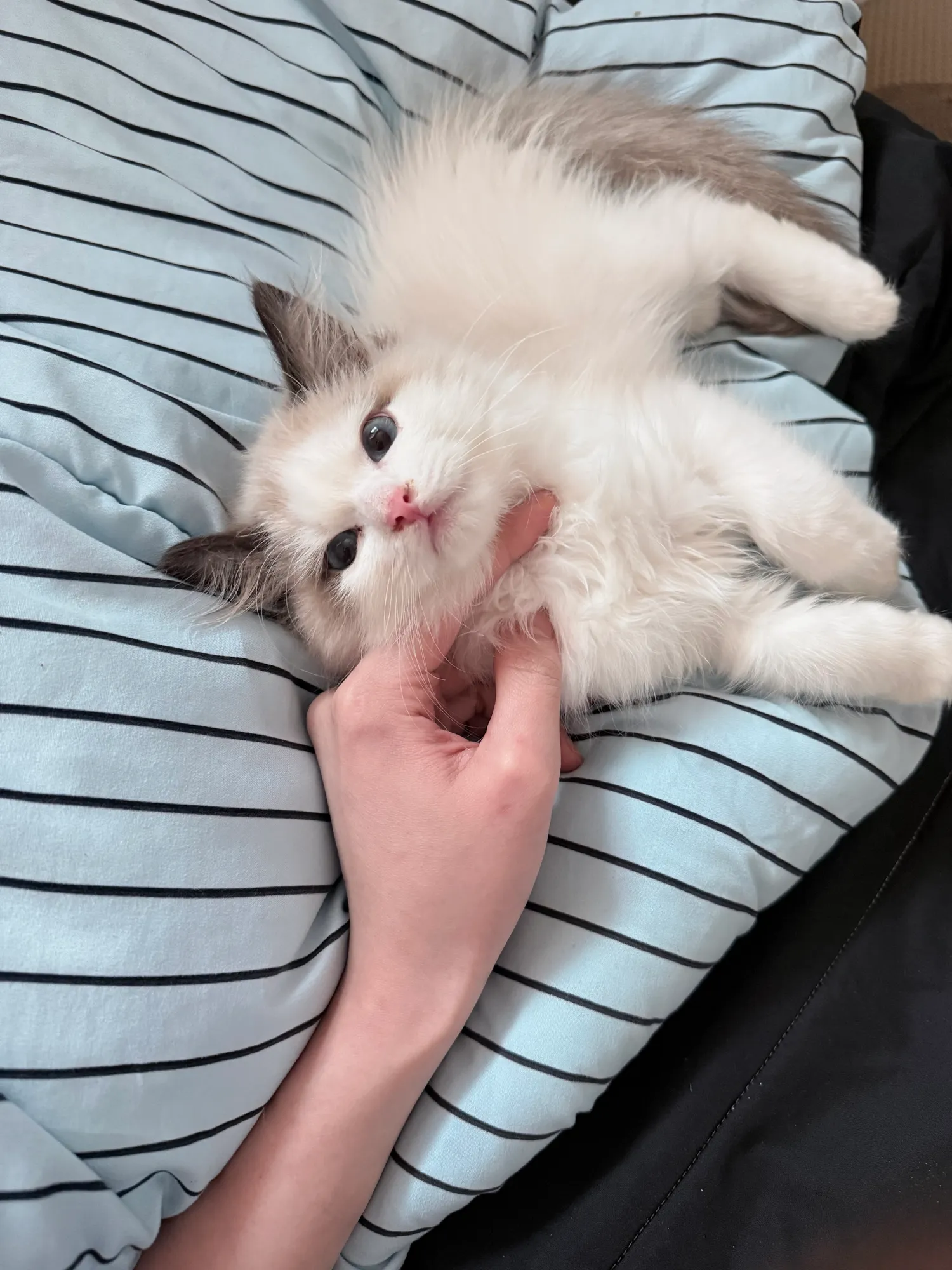 내아기