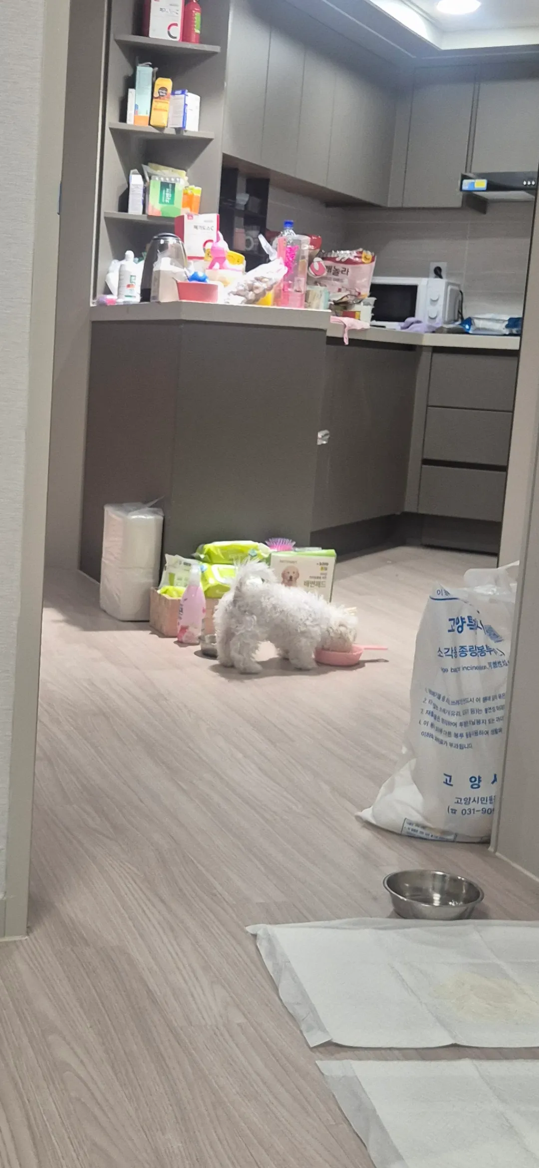 허겁지겁 먹네 ㅜㅜ잠도 너무만이자레내가