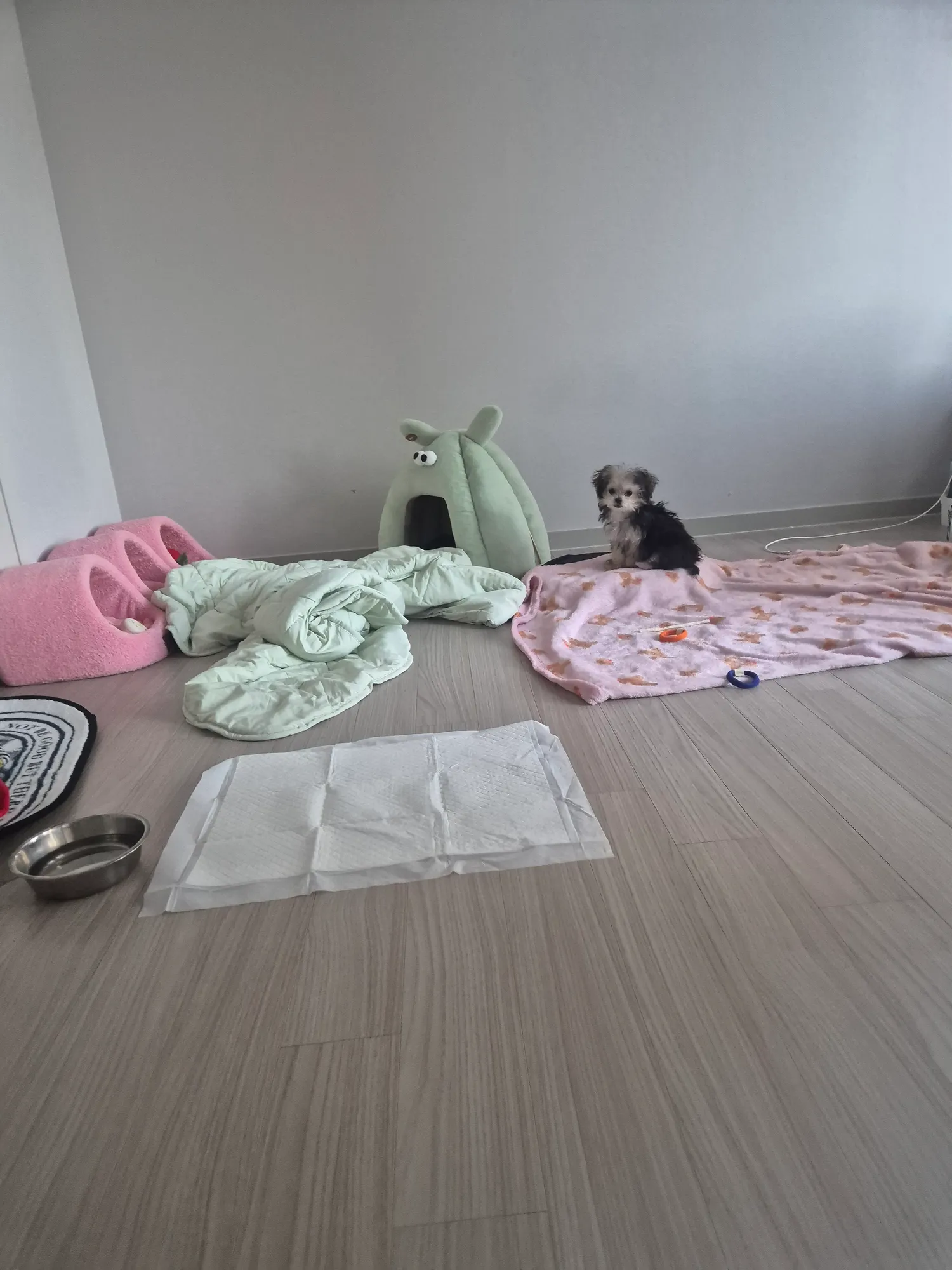 풀출때리자 이제돈모은다3