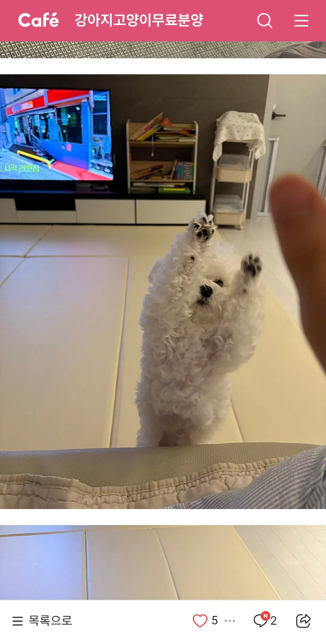 그래서 짖지도않고순한2년키운개를 왜보내?2